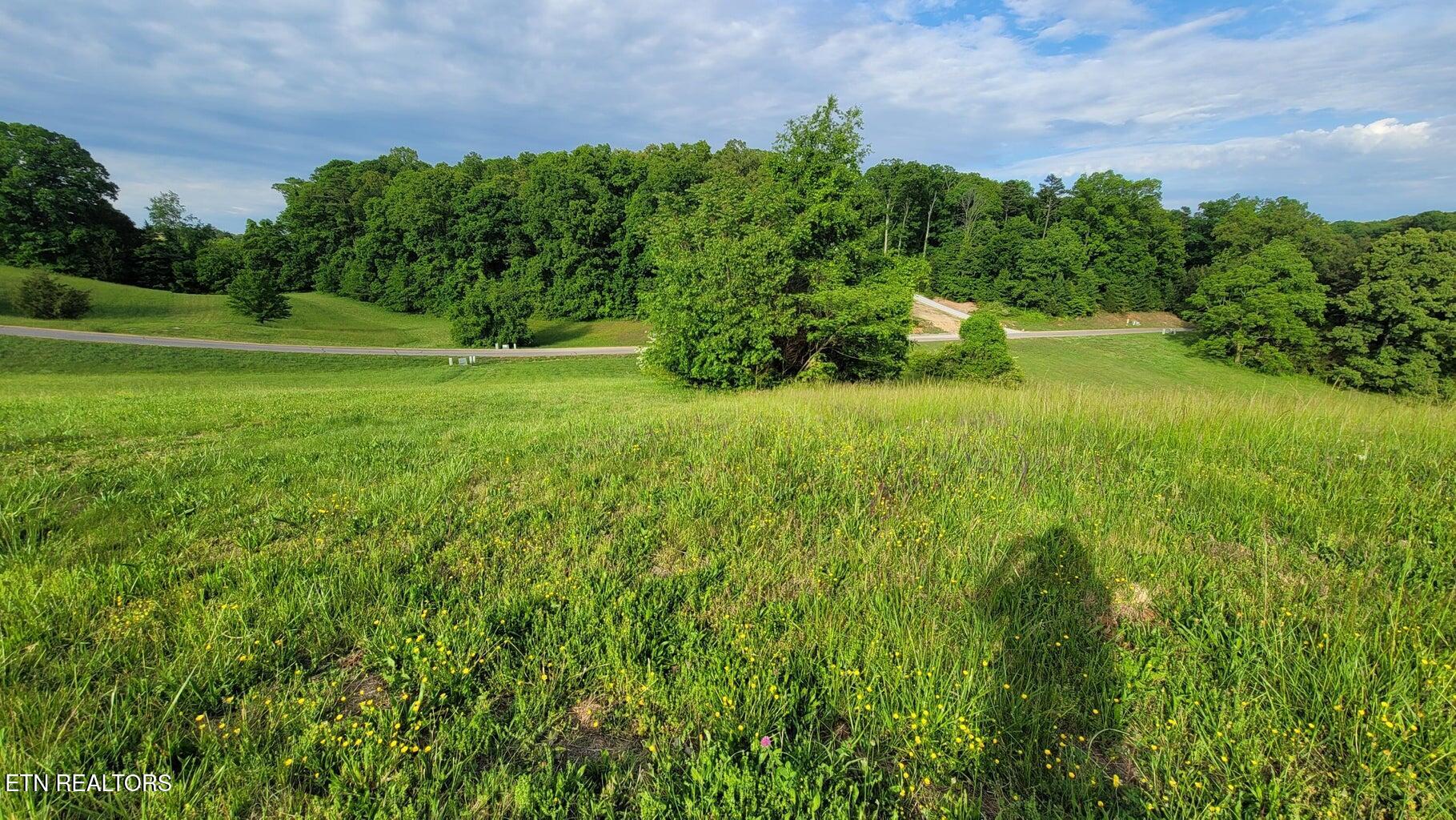 Shiloh Springs Road Rutledge TN 37861