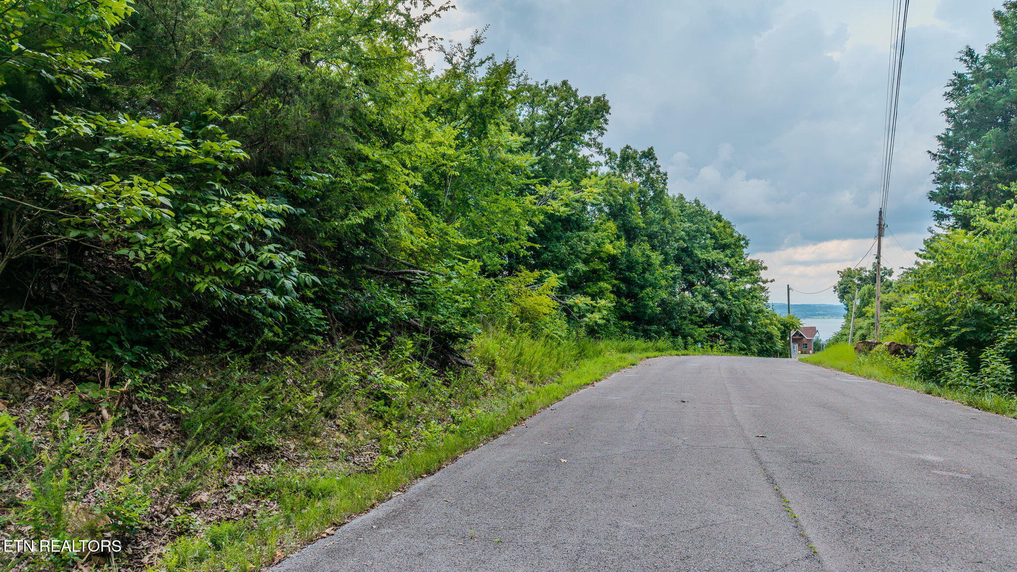 Lot 35 Fishtail Cove Dandridge TN 37725