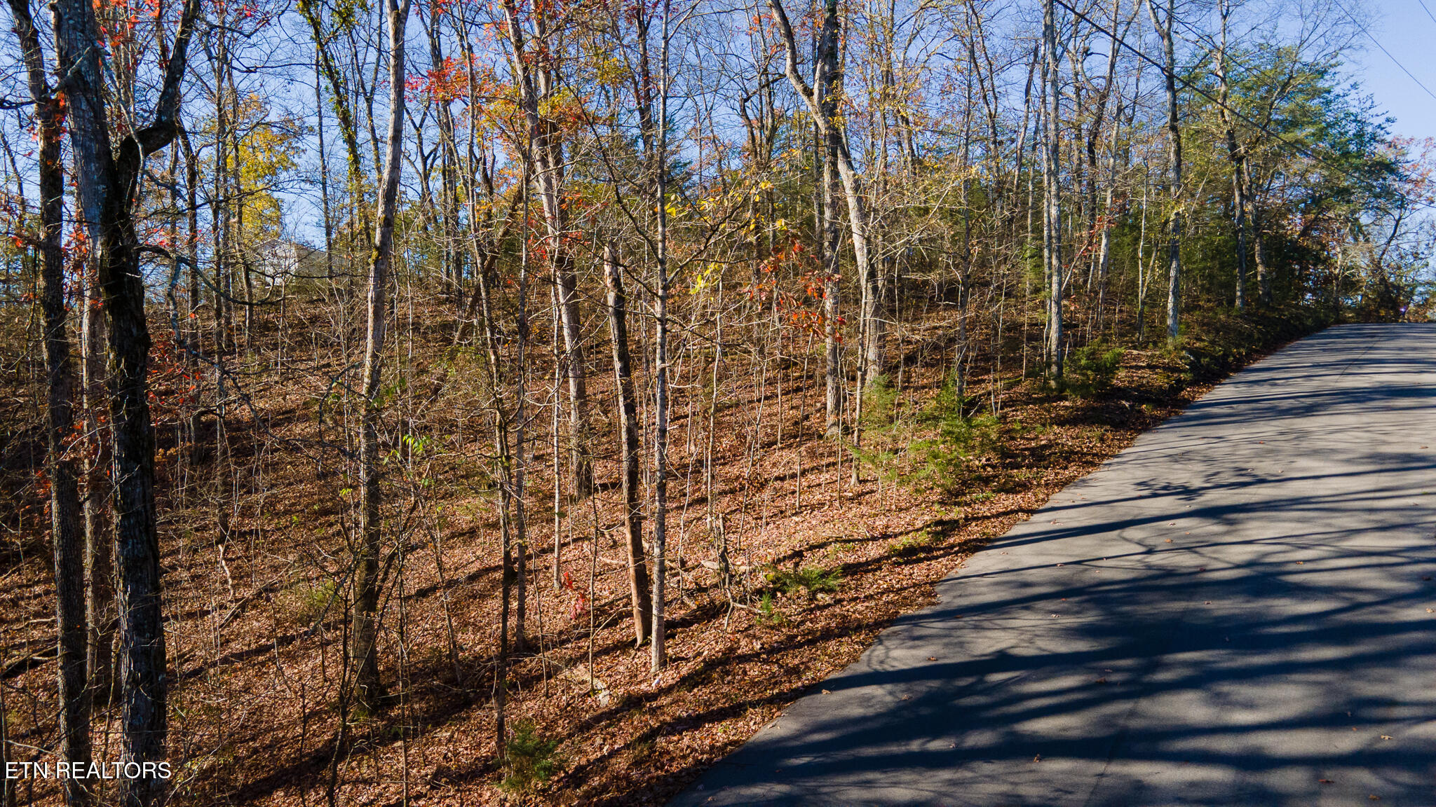 Moonside Lane Sevierville TN 37876