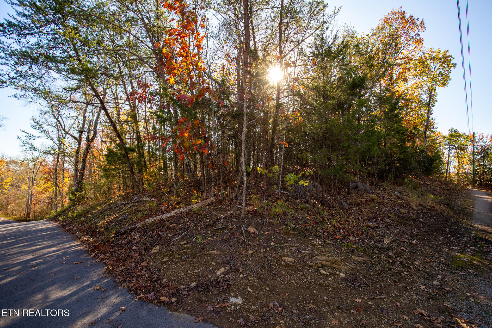 Moonside Lane Sevierville TN 37876
