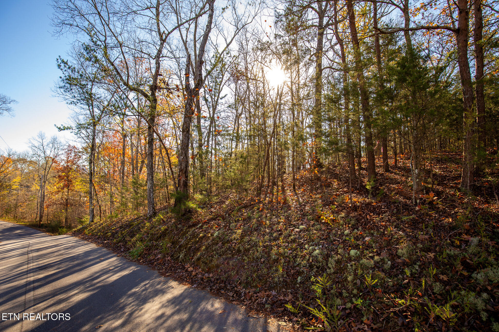 Moonside Lane Sevierville TN 37876