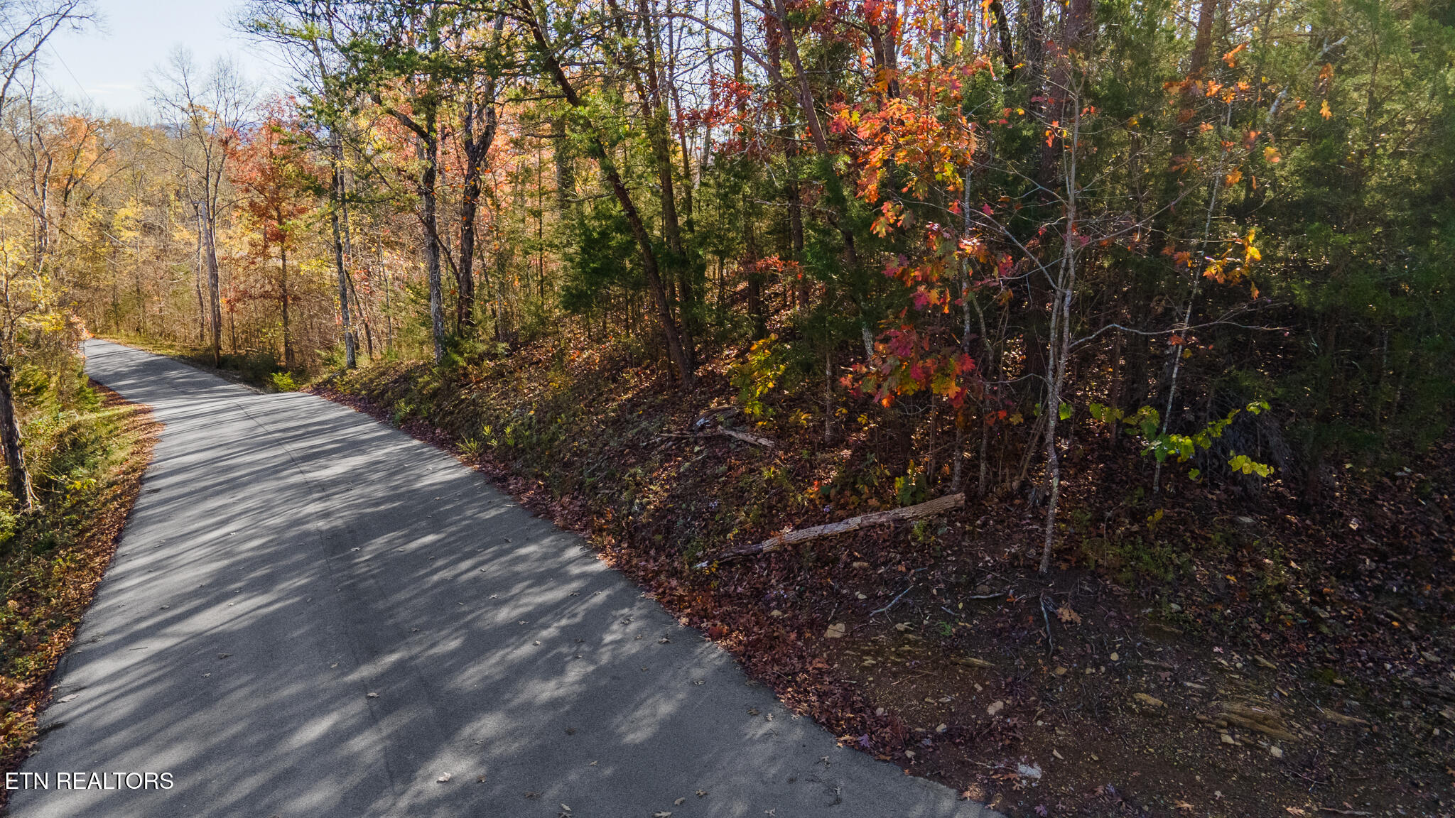 Moonside Lane Sevierville TN 37876