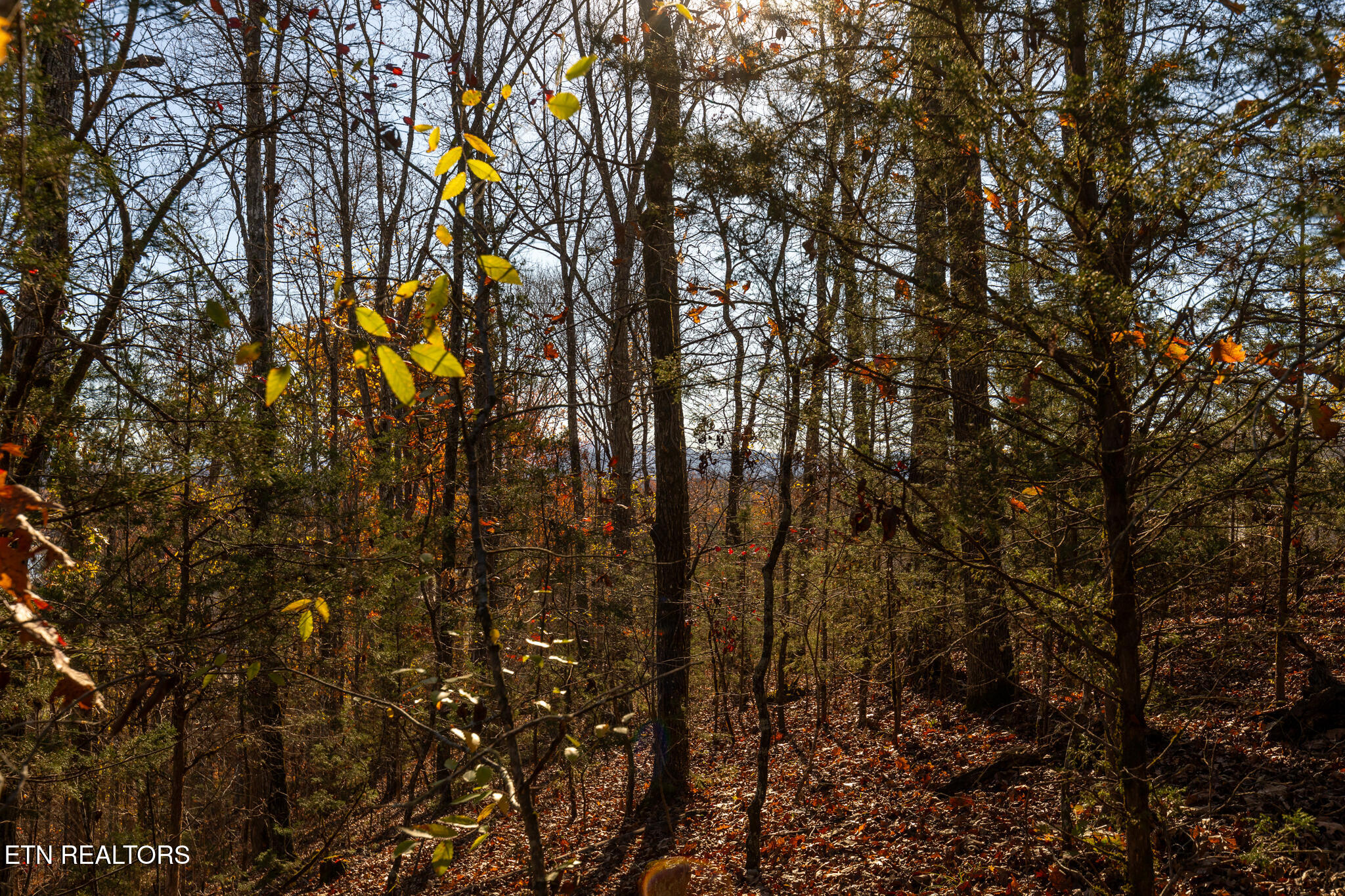 Moonside Lane Sevierville TN 37876