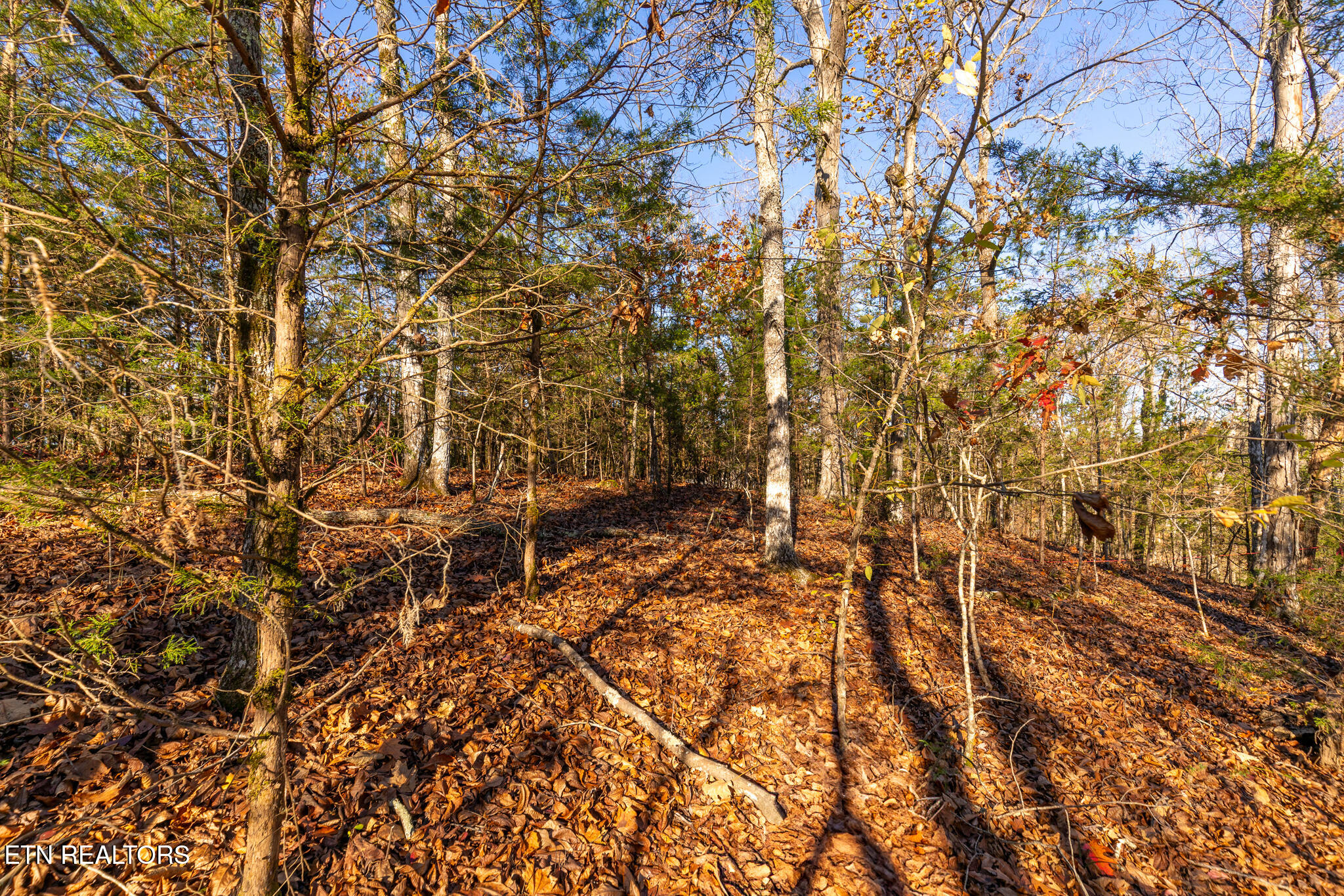 Moonside Lane Sevierville TN 37876