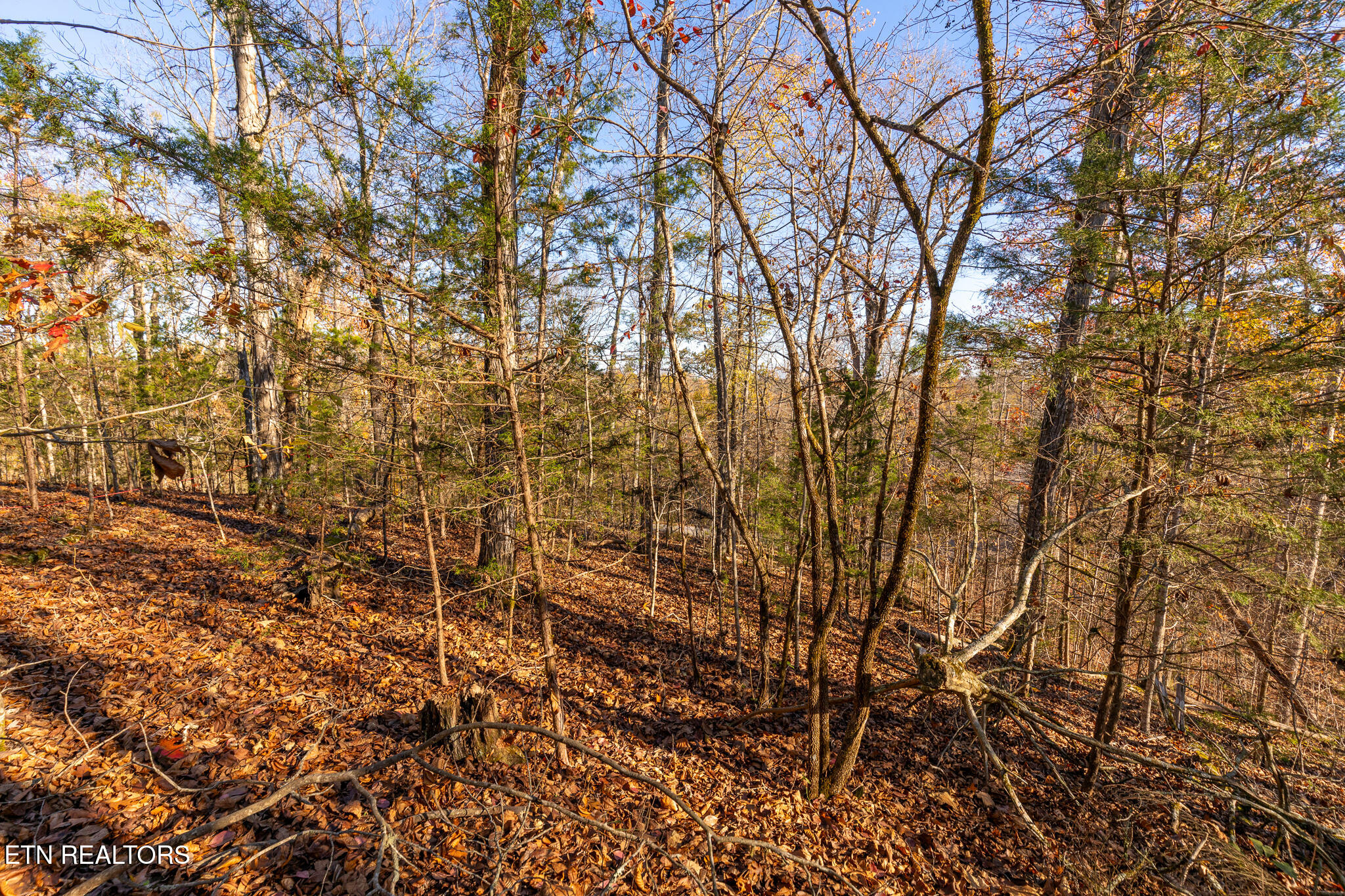 Moonside Lane Sevierville TN 37876