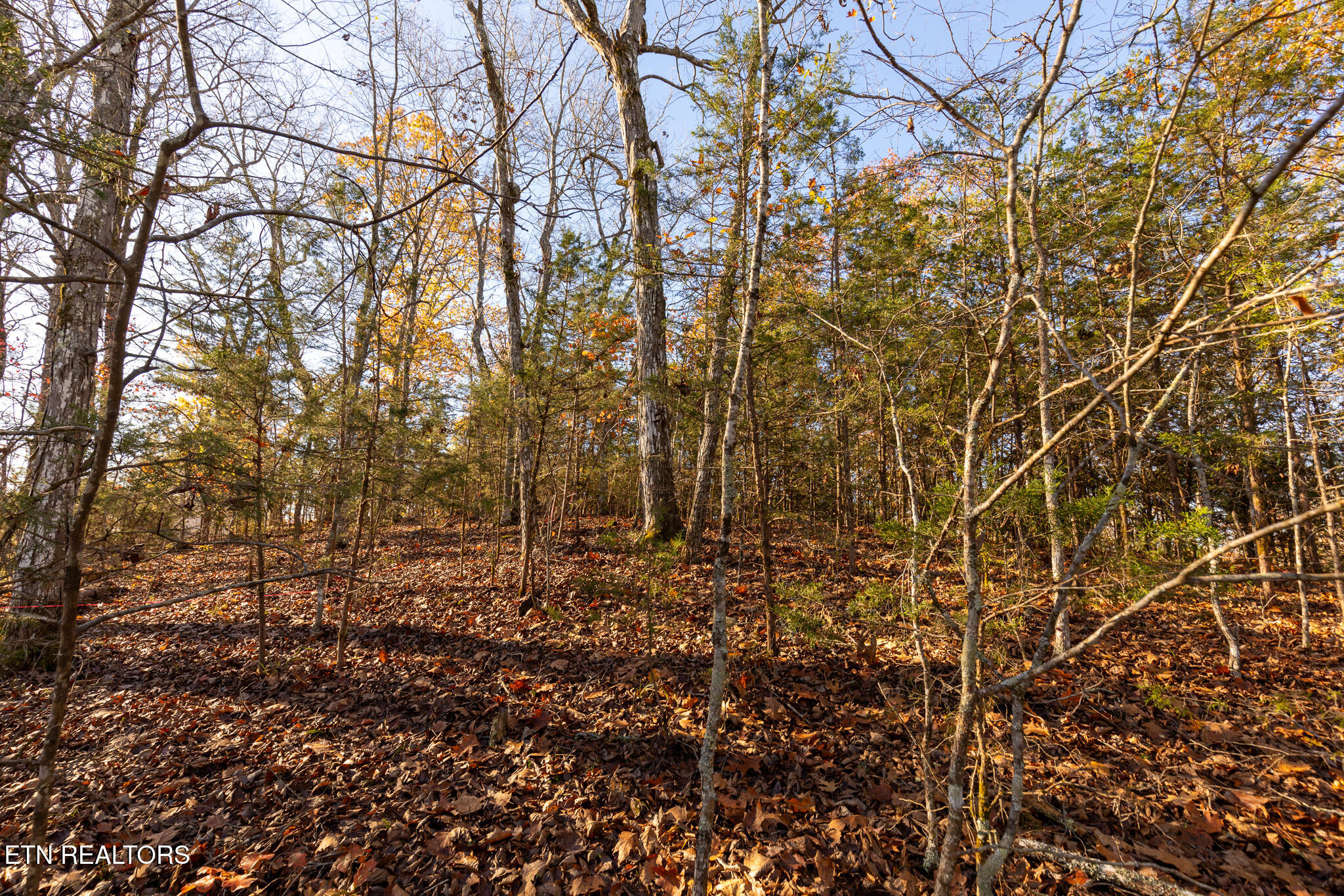 Moonside Lane Sevierville TN 37876