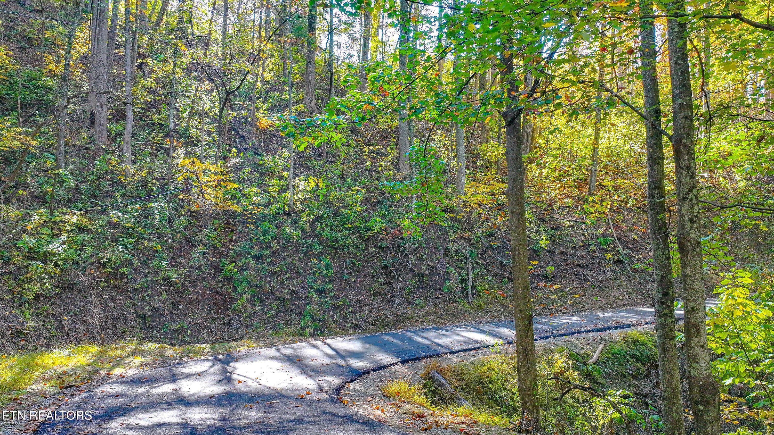 Emerald Springs Loop Sevierville TN 37862