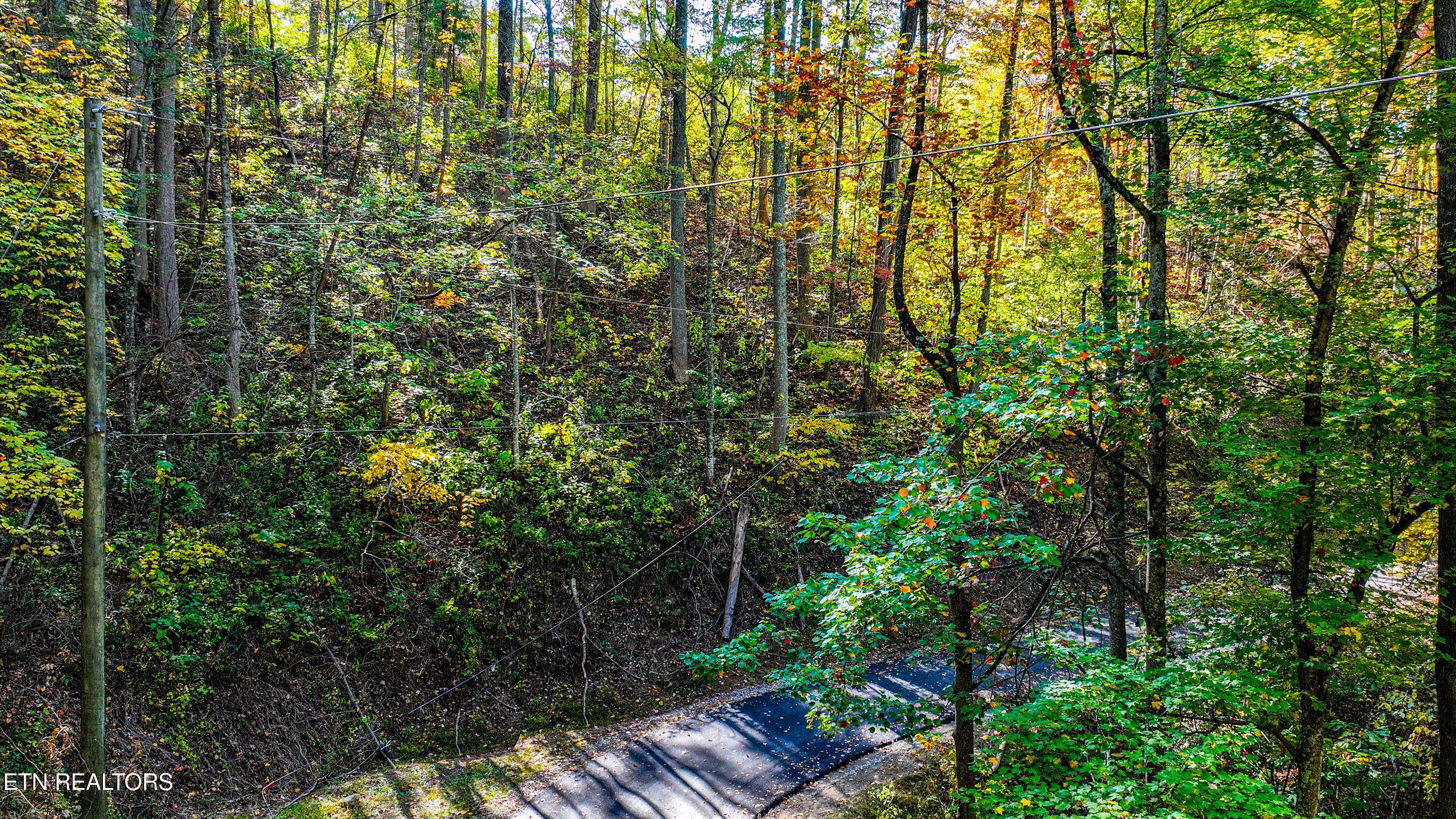 Emerald Springs Loop Sevierville TN 37862