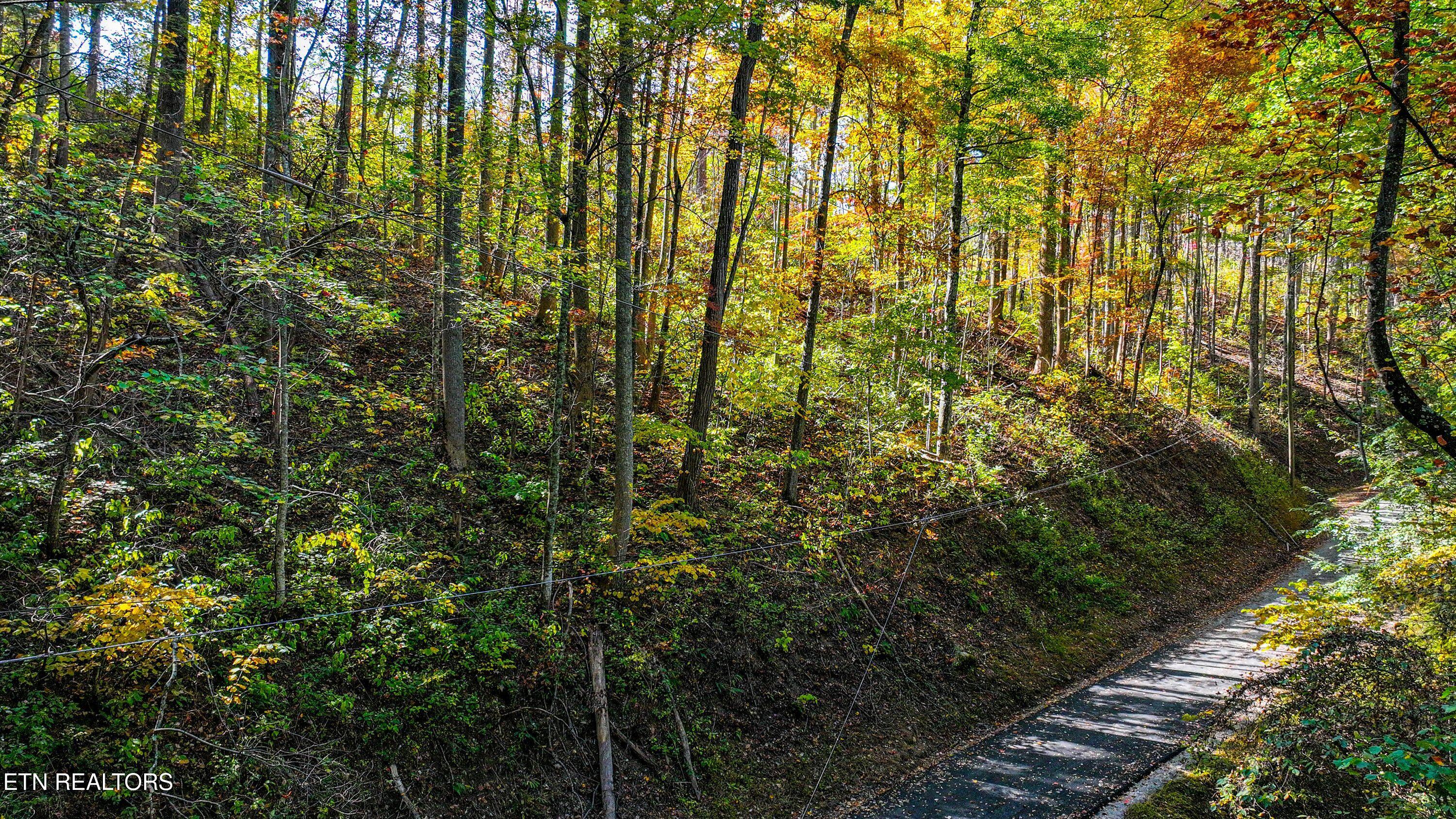 Emerald Springs Loop Sevierville TN 37862