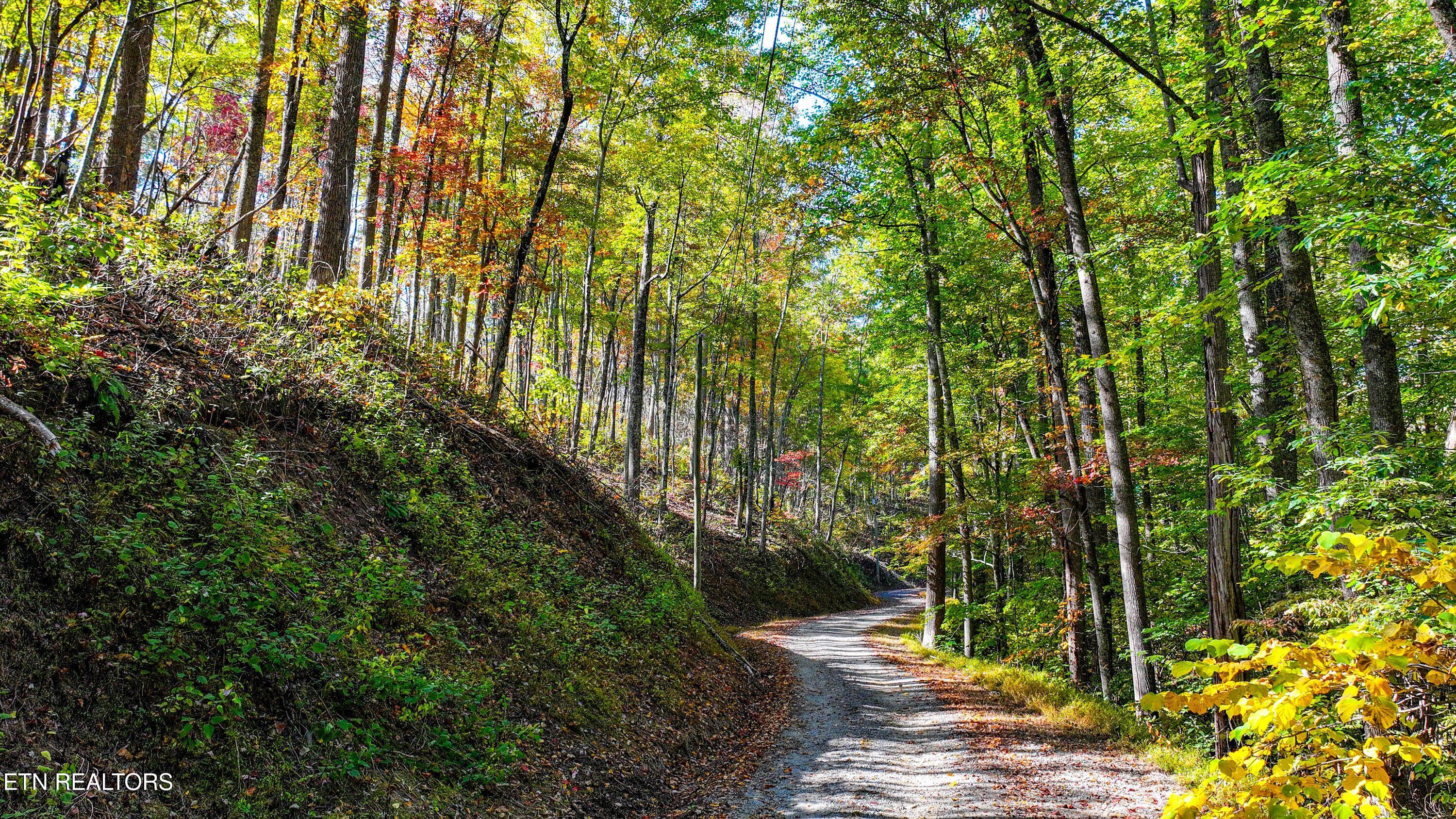 Emerald Springs Loop Sevierville TN 37862