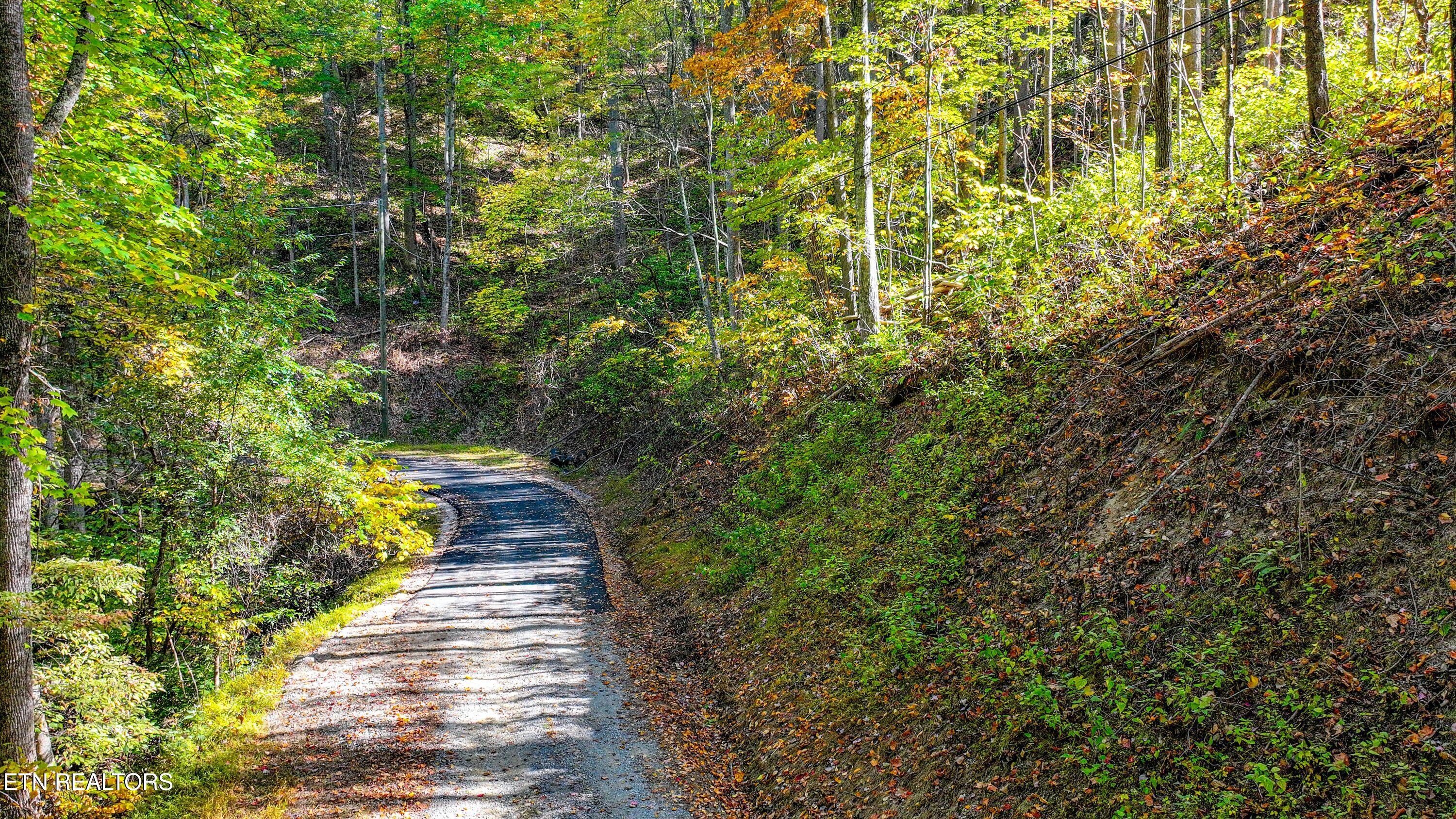 Emerald Springs Loop Sevierville TN 37862
