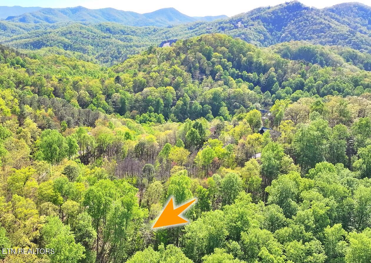 Emerald Springs Loop Sevierville TN 37862