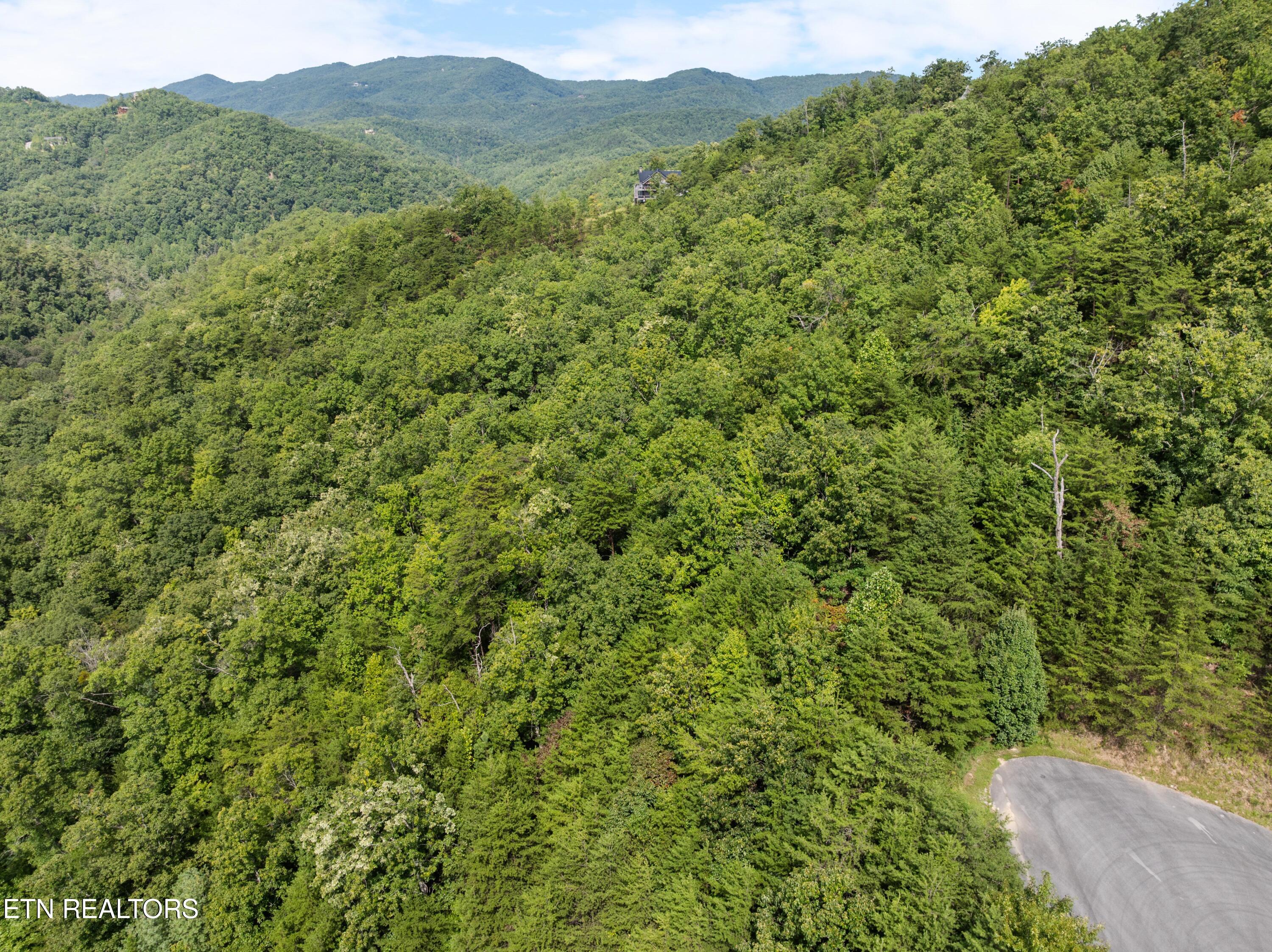 Jones Creek Lane Sevierville TN 37862