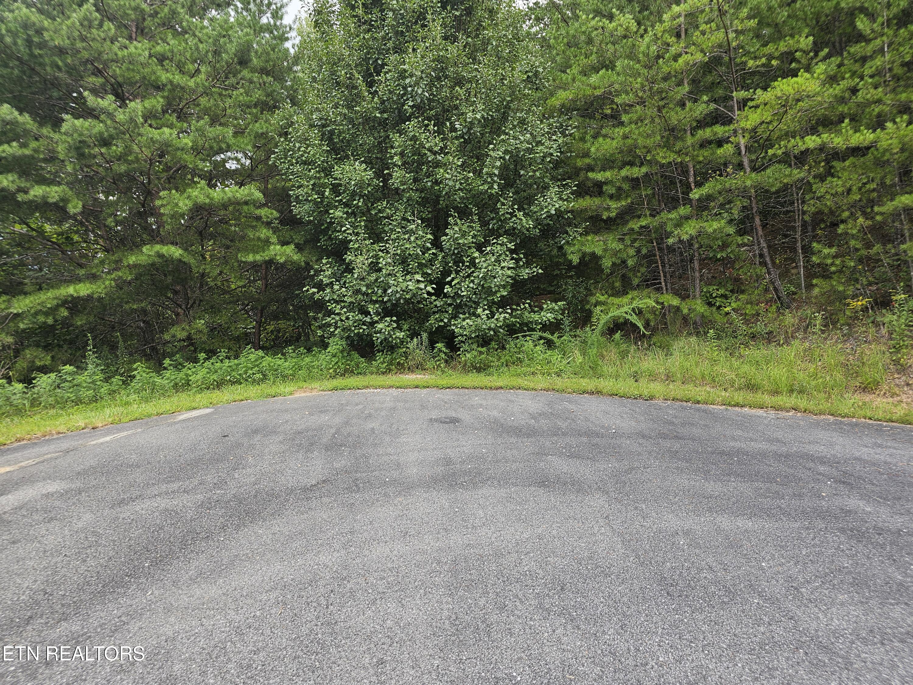 Jones Creek Lane Sevierville TN 37862