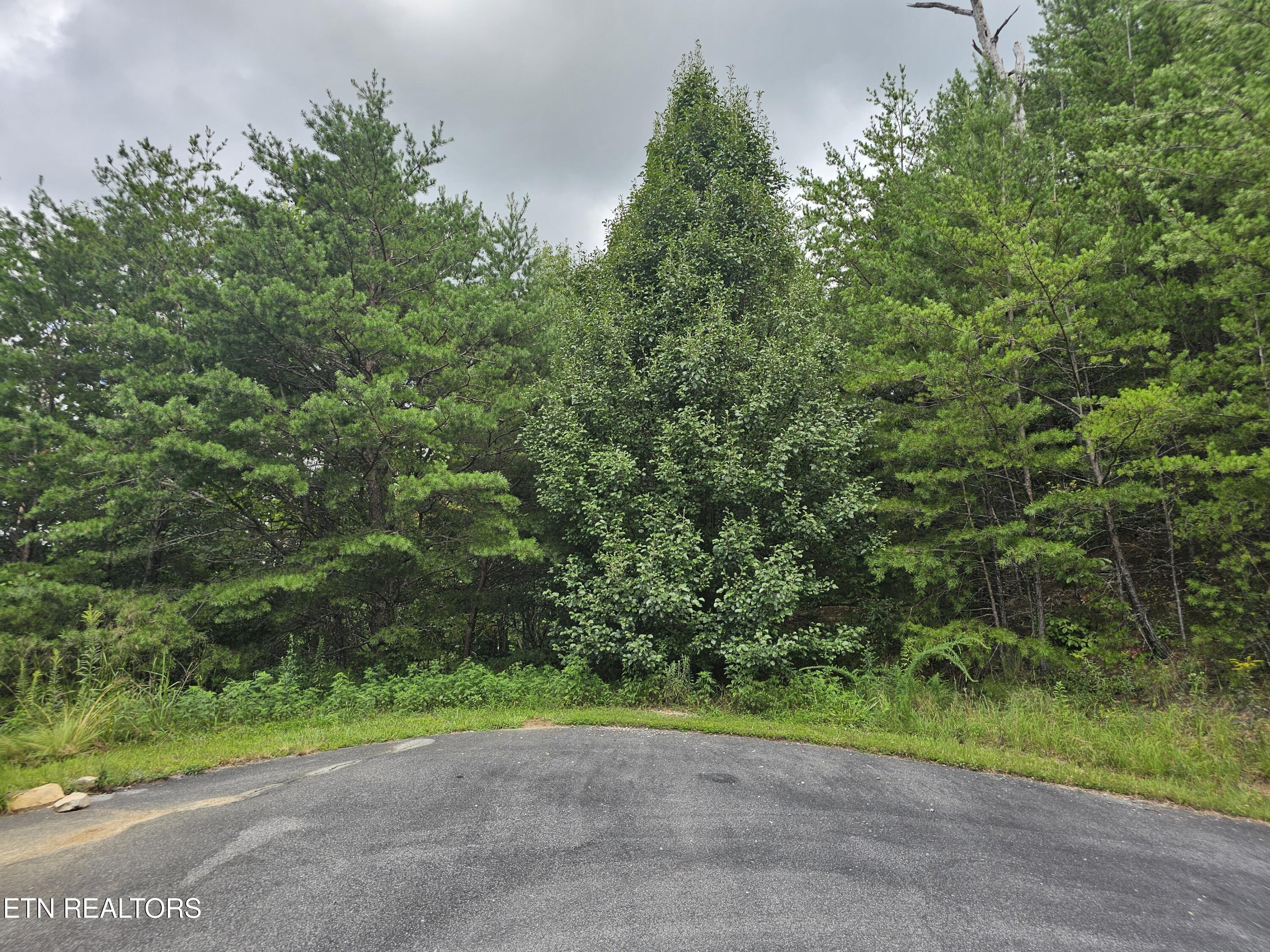 Jones Creek Lane Sevierville TN 37862