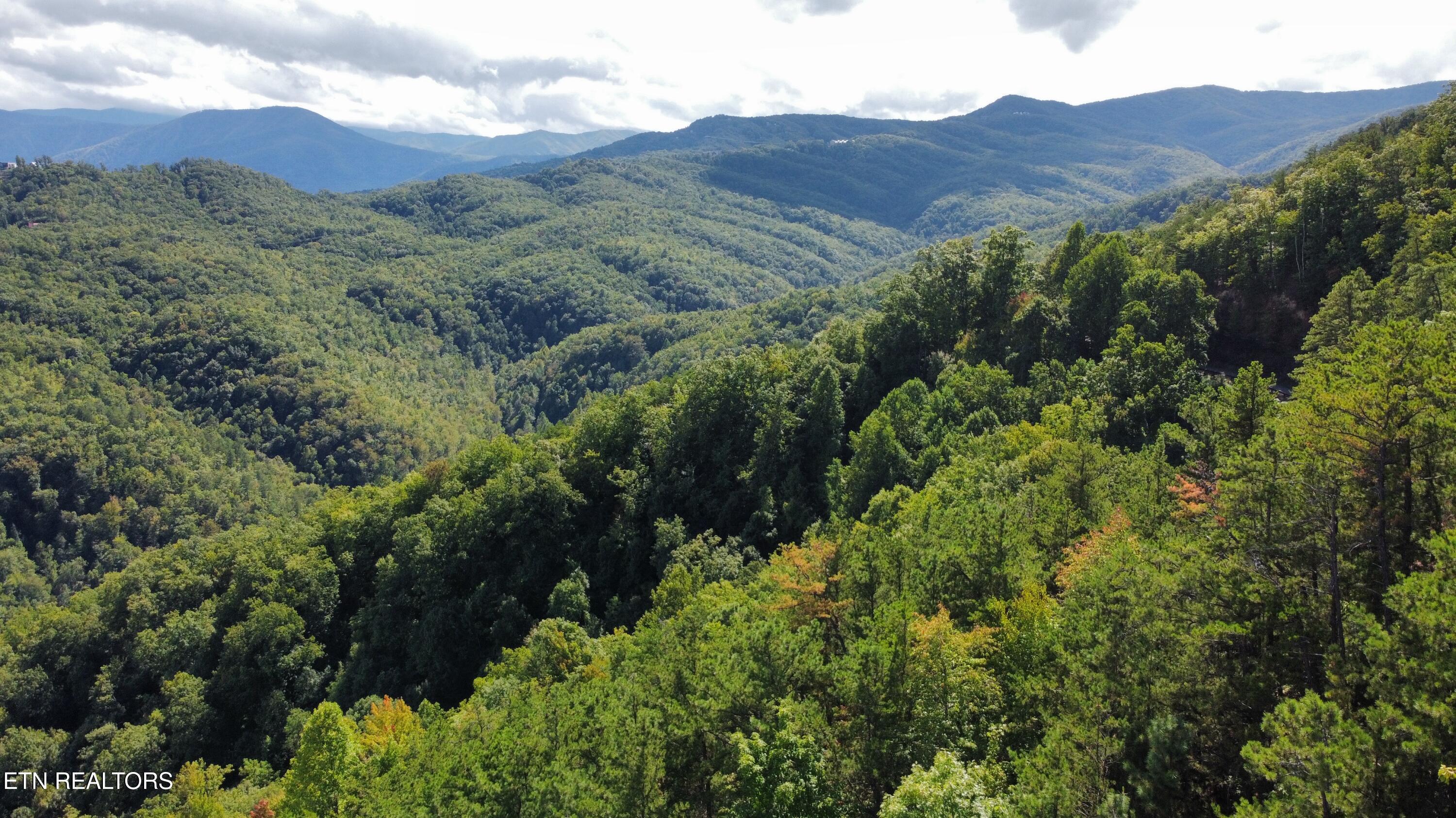 Enclave Park Way Sevierville TN 37862