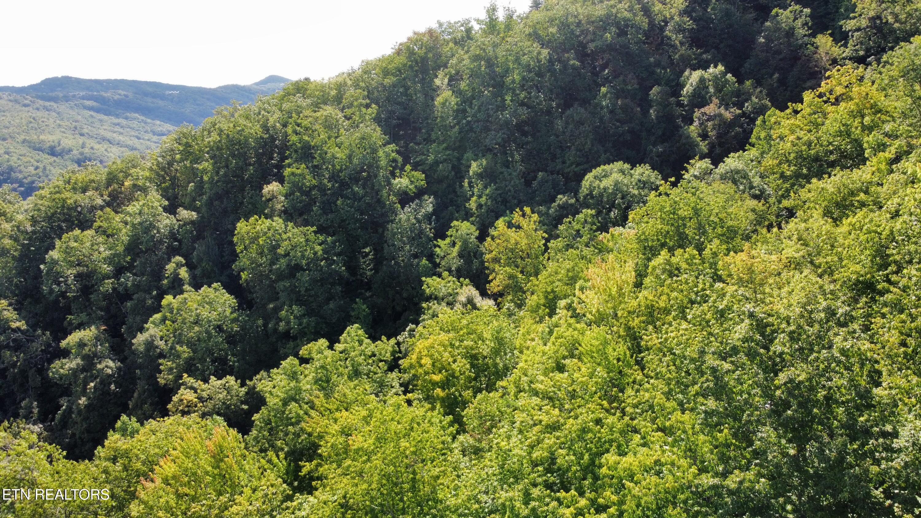 Enclave Park Way Sevierville TN 37862