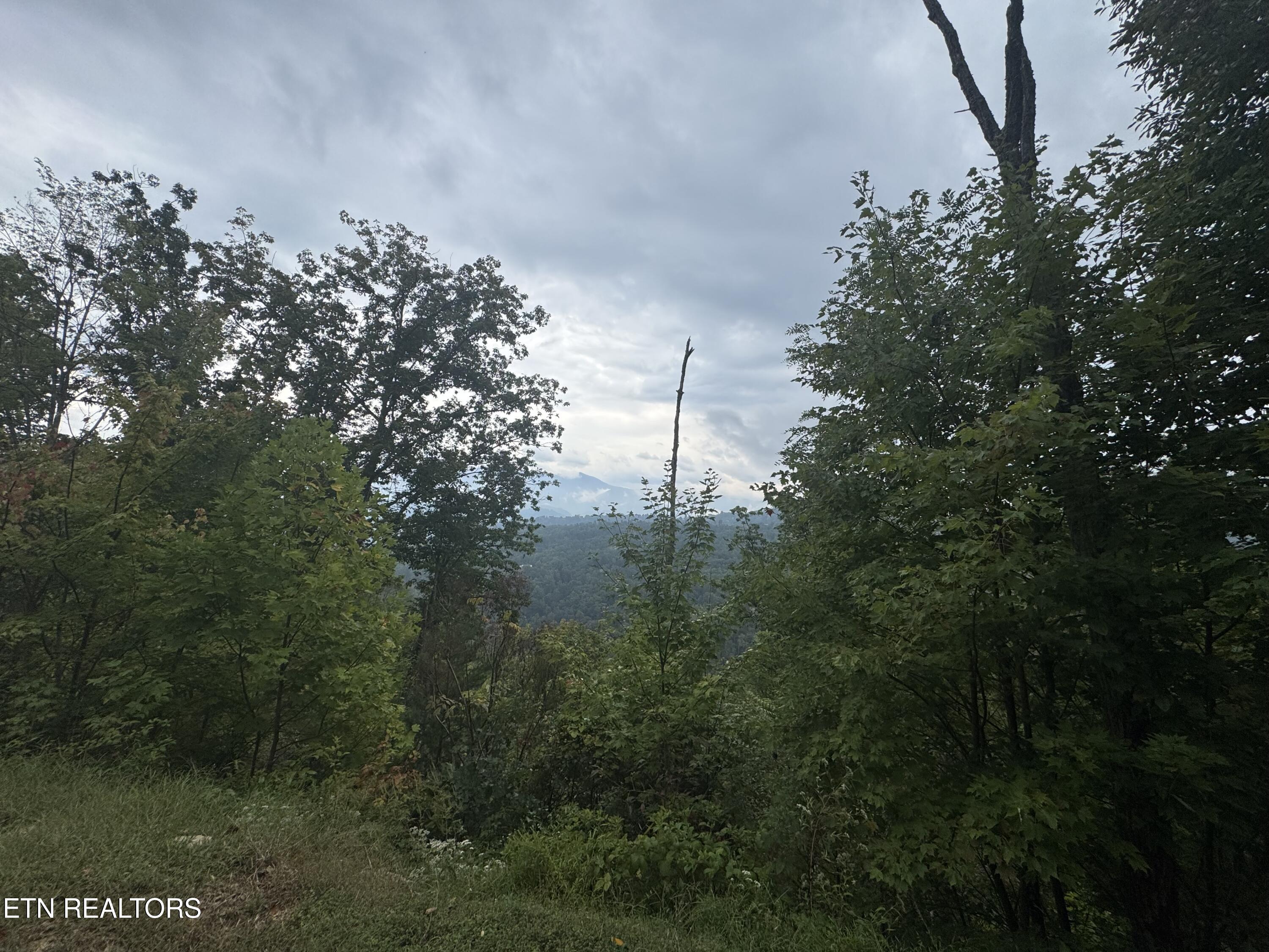 Enclave Park Way Sevierville TN 37862