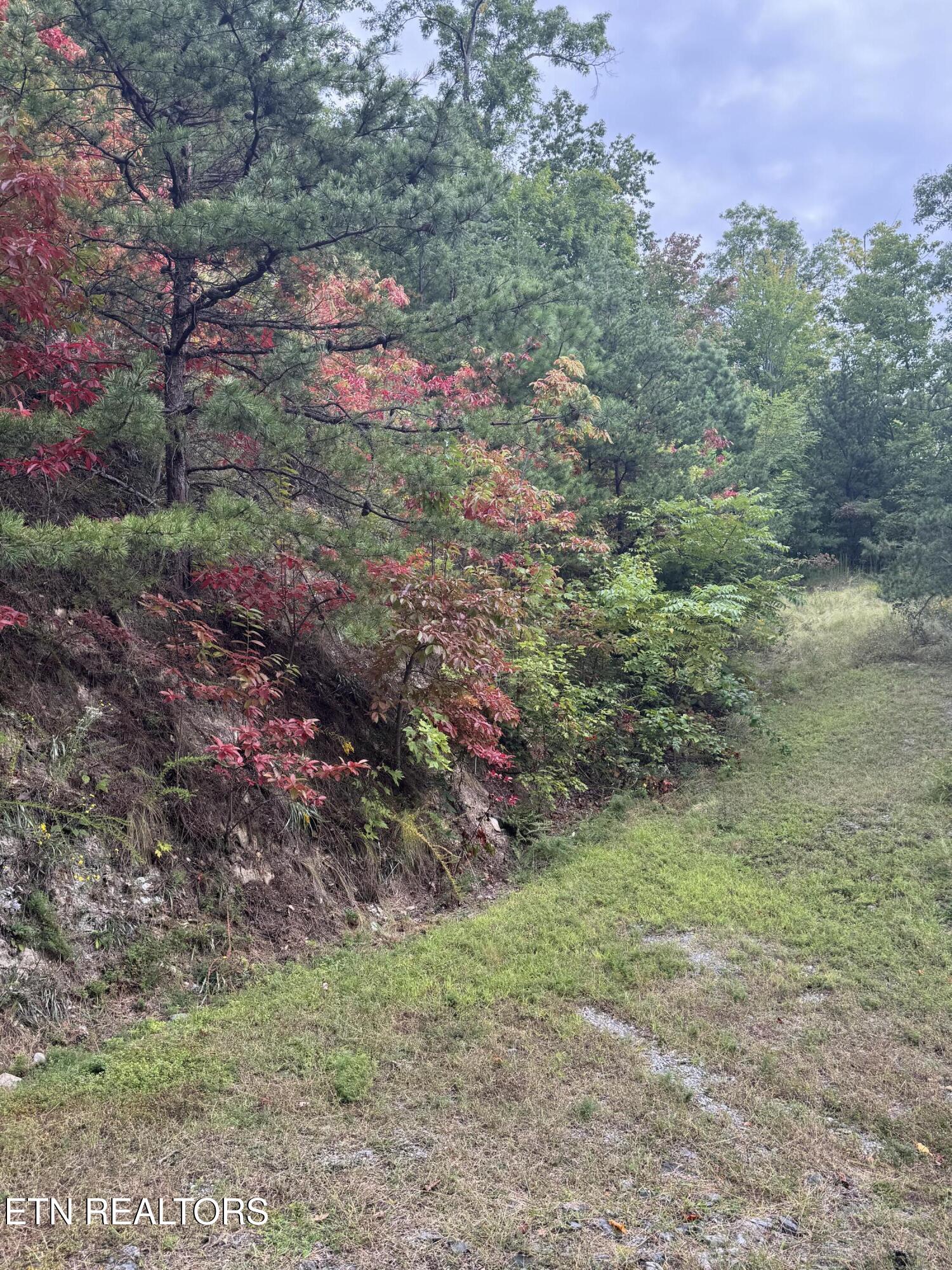Enclave Park Way Sevierville TN 37862