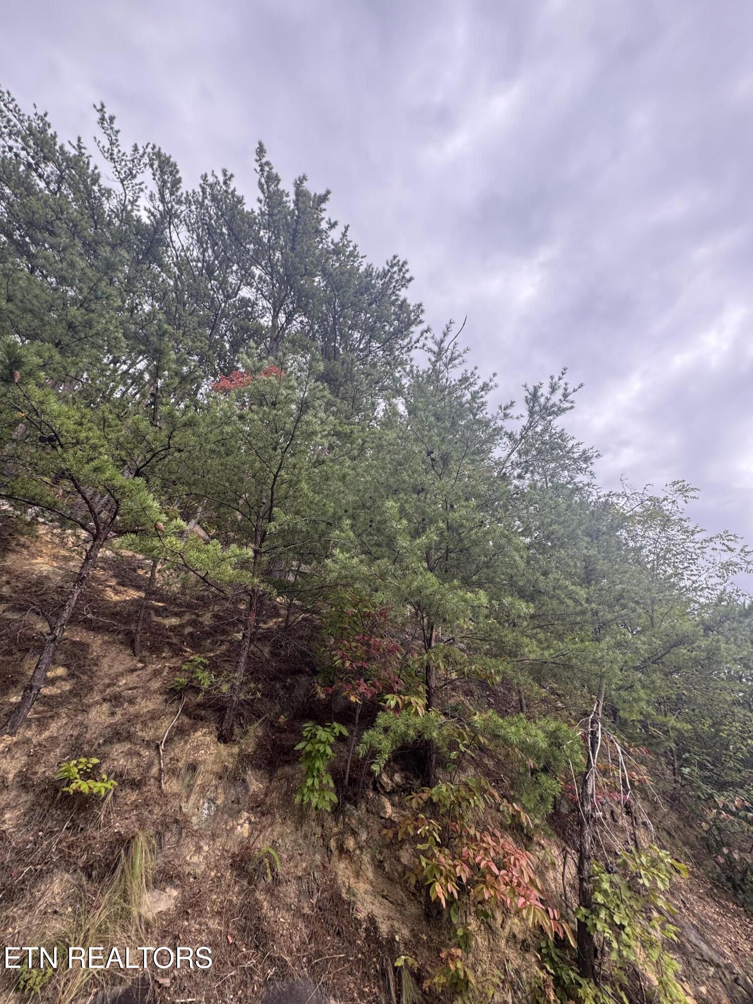 Enclave Park Way Sevierville TN 37862