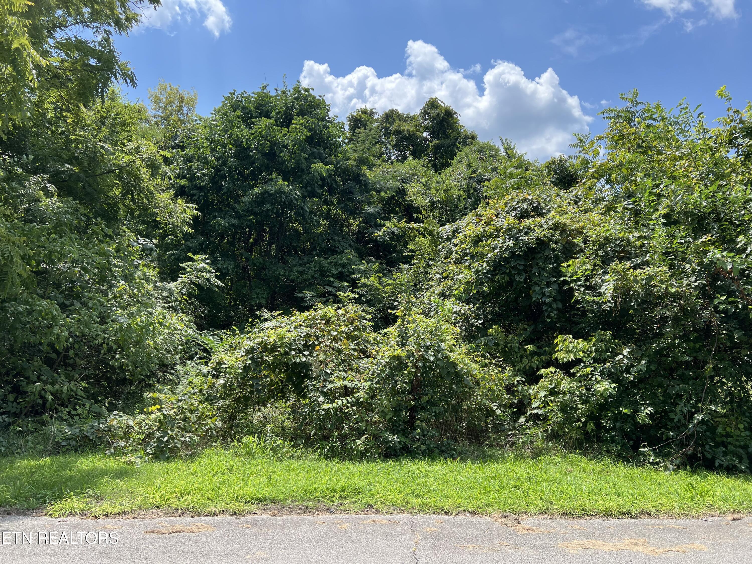N Furnace Avenue Rockwood TN 37854