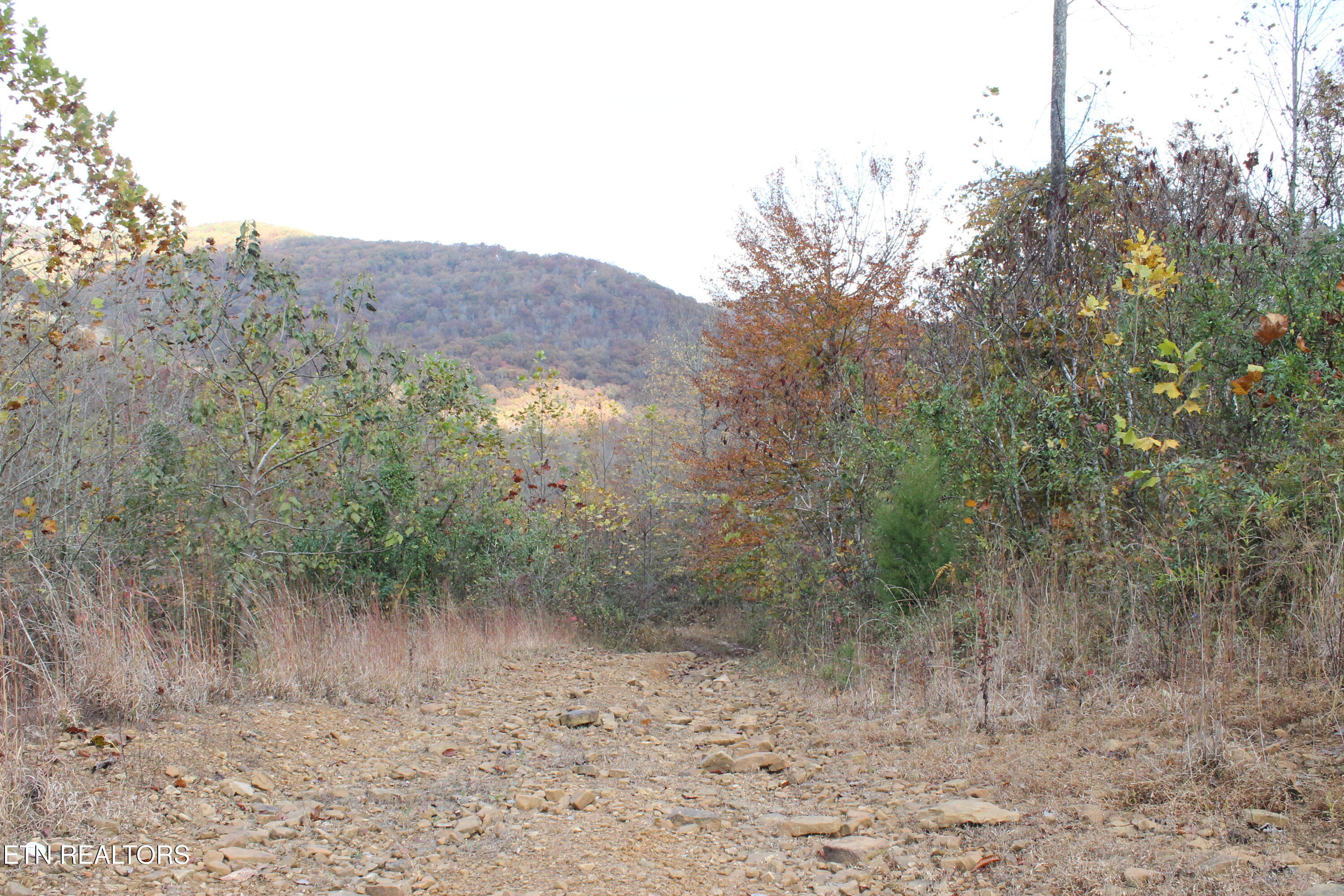 Baird Branch Winfield TN 37892