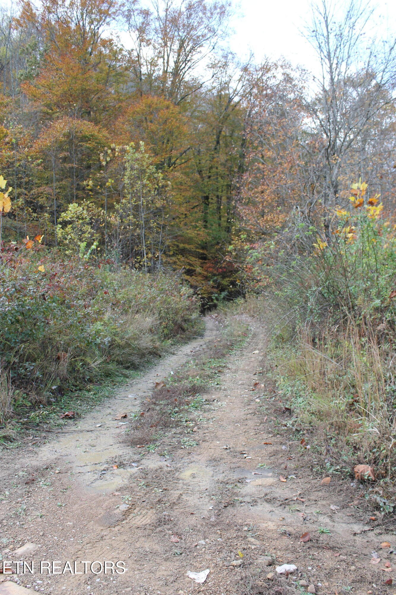 Baird Branch Winfield TN 37892