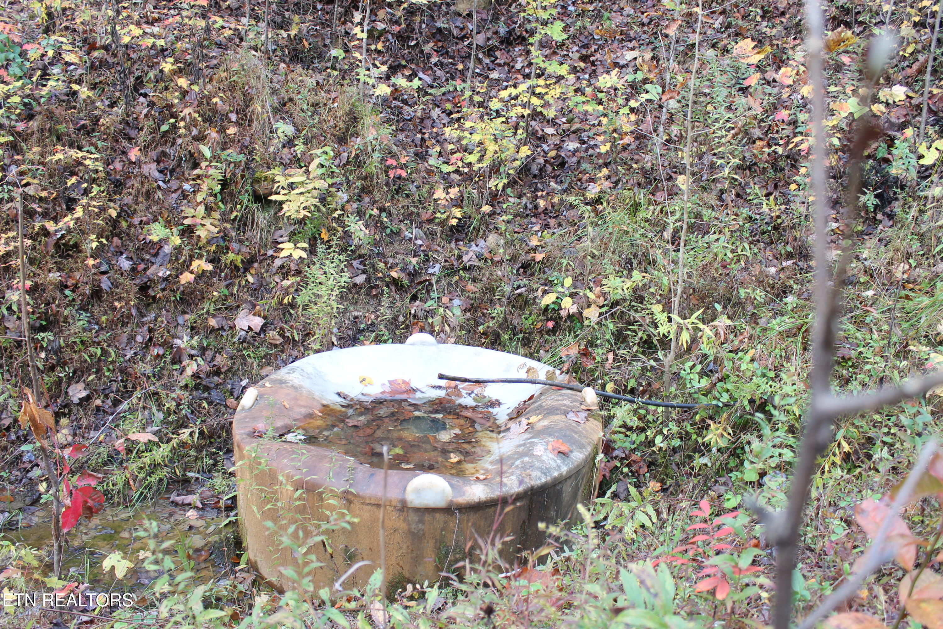 Baird Branch Winfield TN 37892