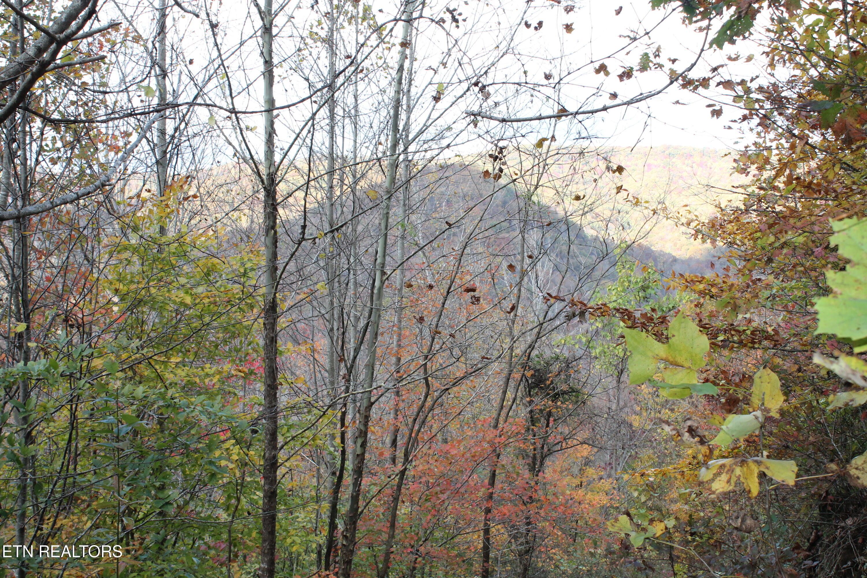 Baird Branch Winfield TN 37892