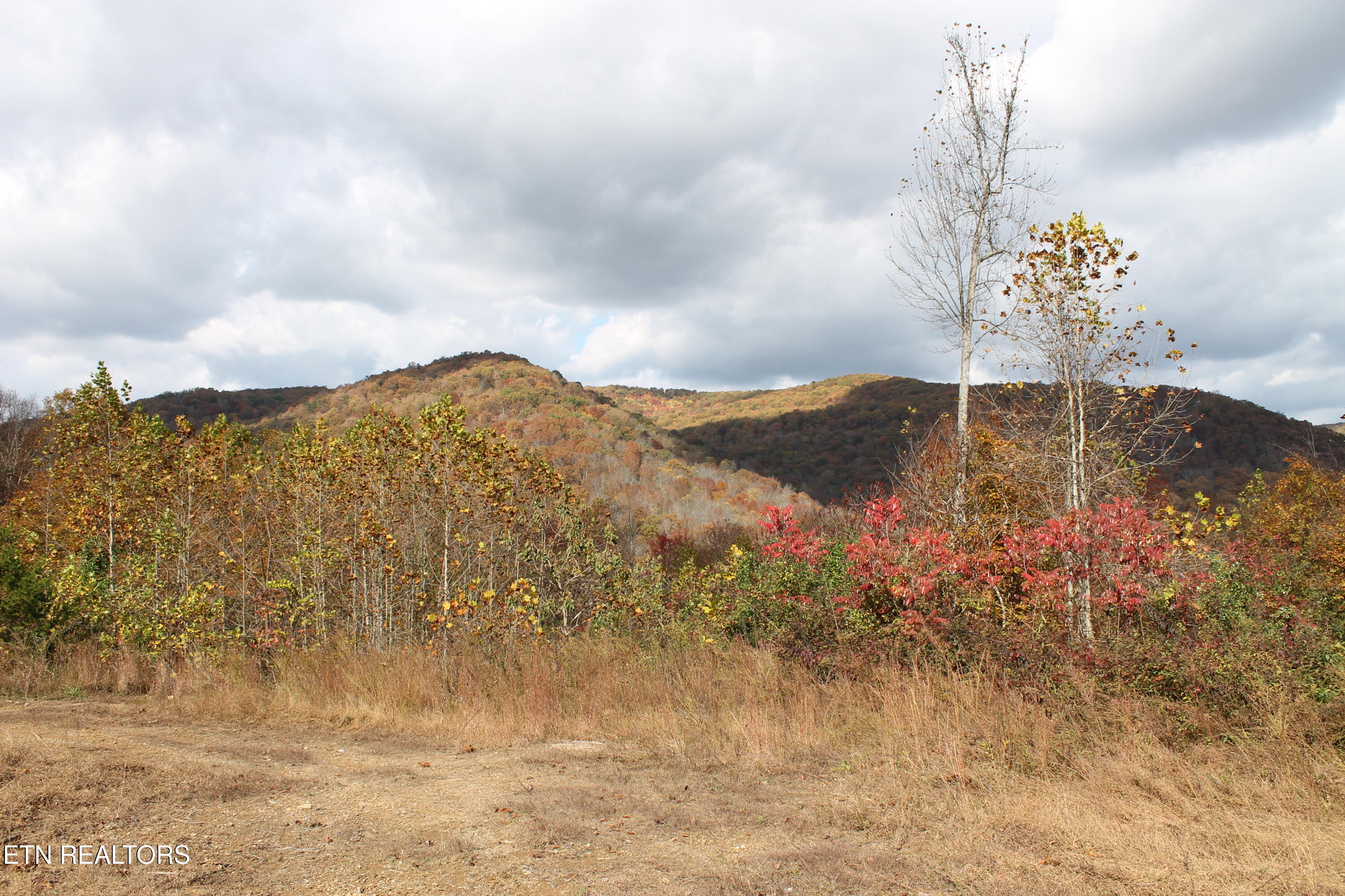 Baird Branch Winfield TN 37892