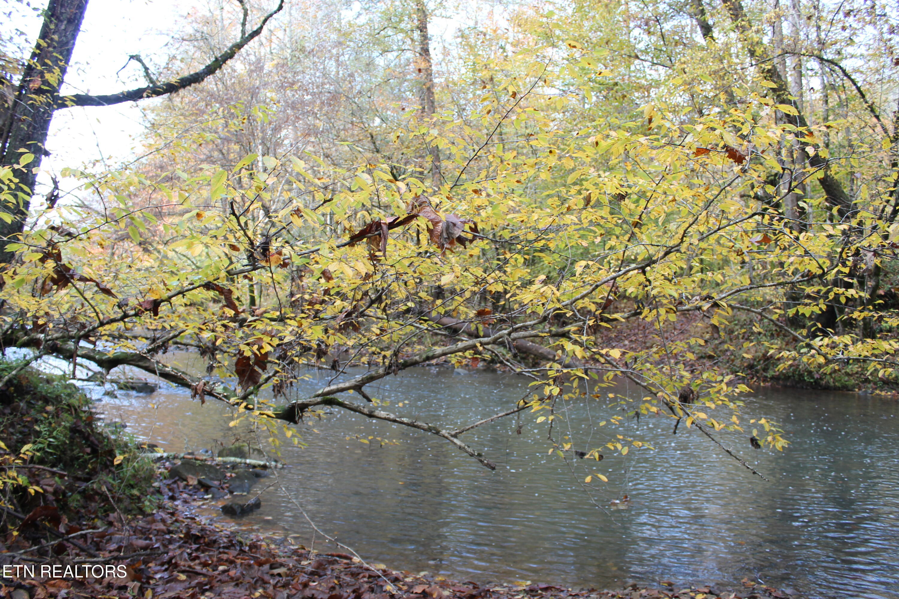 Baird Branch Winfield TN 37892