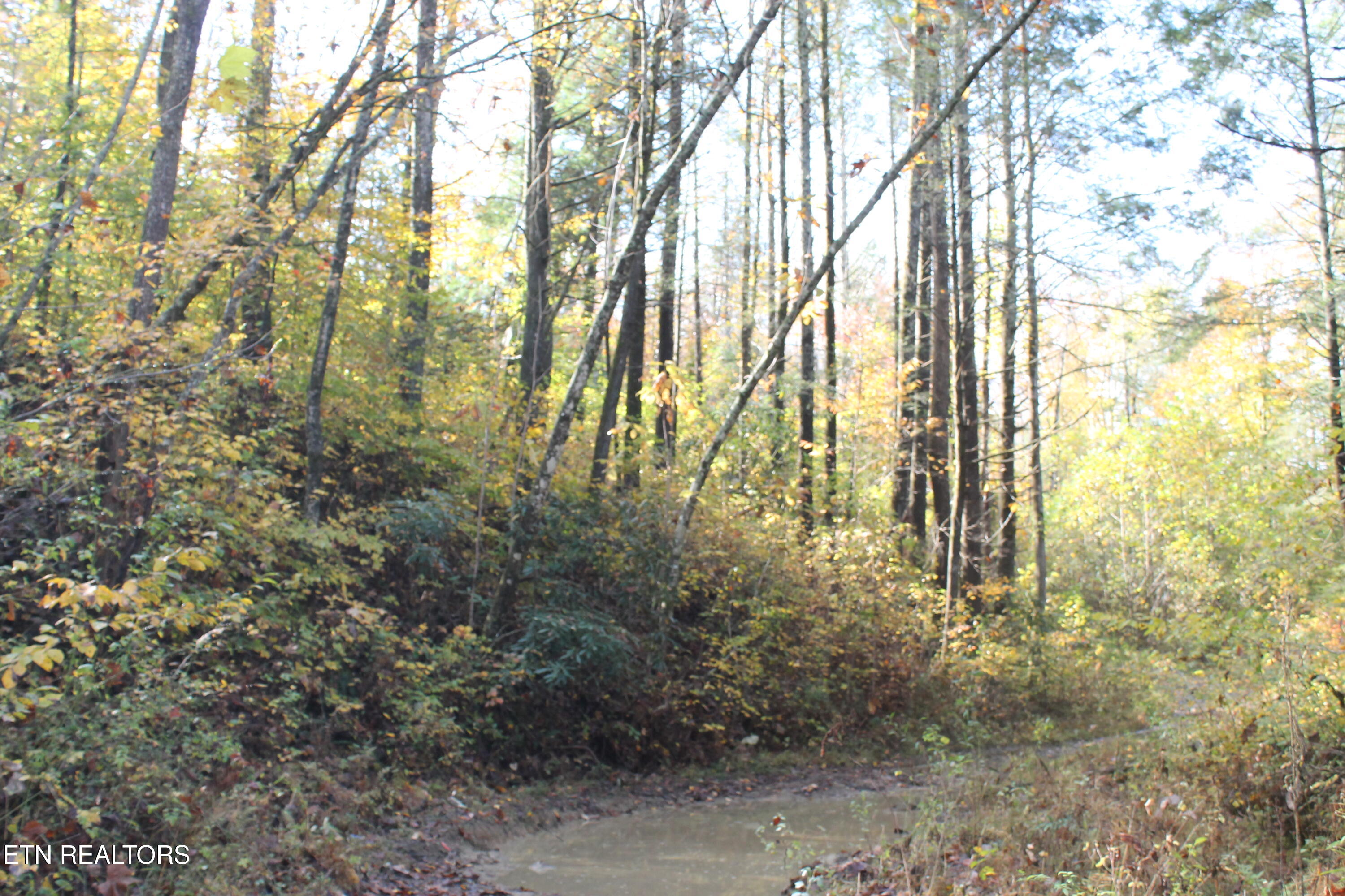 Baird Branch Winfield TN 37892