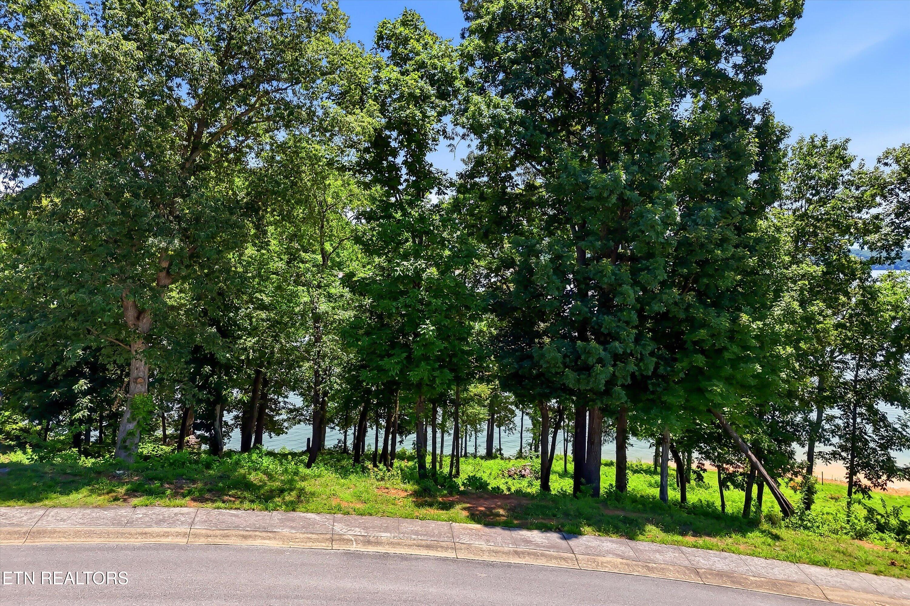 2127 Majestic Circle Dandridge TN 37725