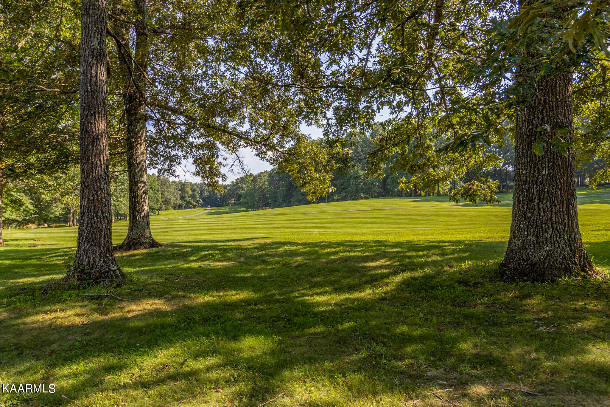 7304 Kanapolis Drive Crossville TN 38572