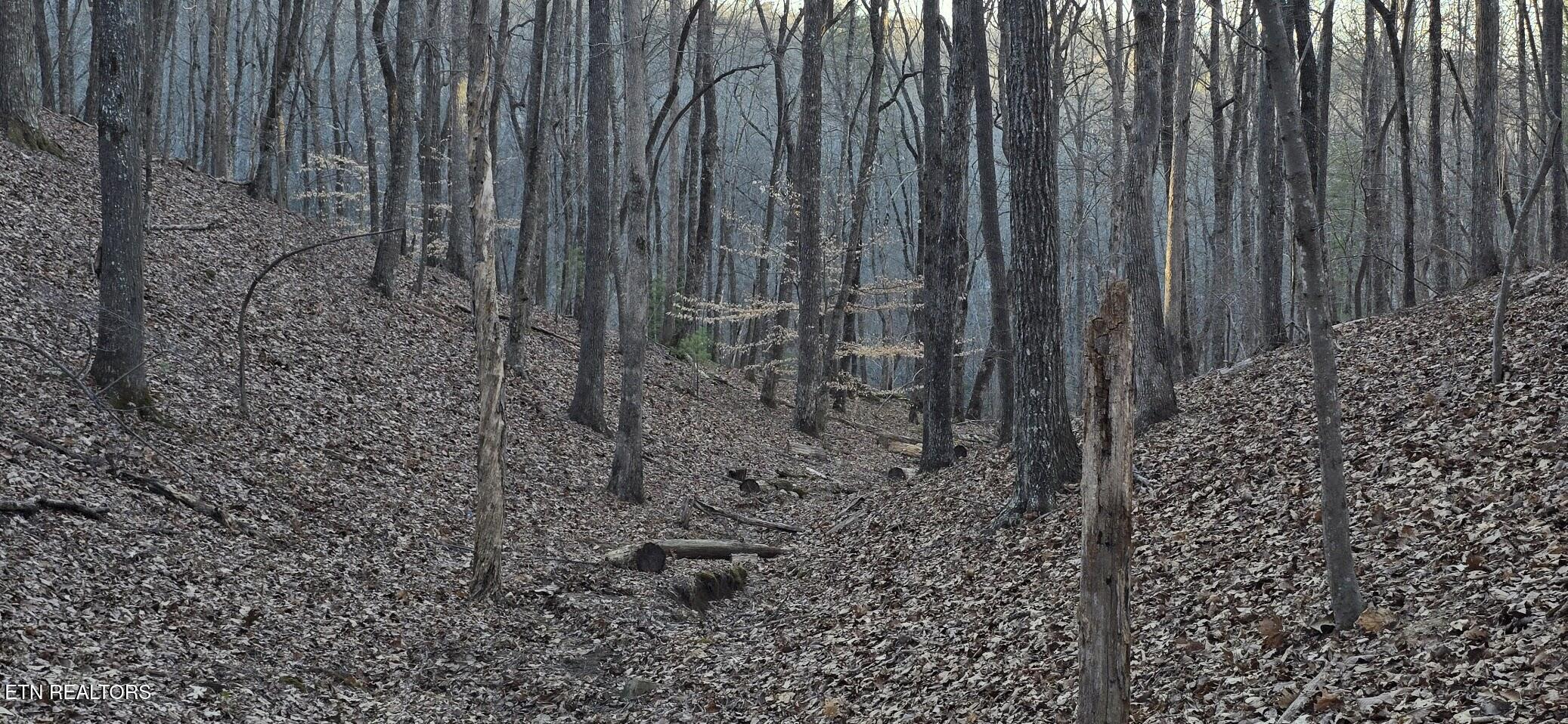 121 Pineridge Loop Fairfield Glade TN 38558
