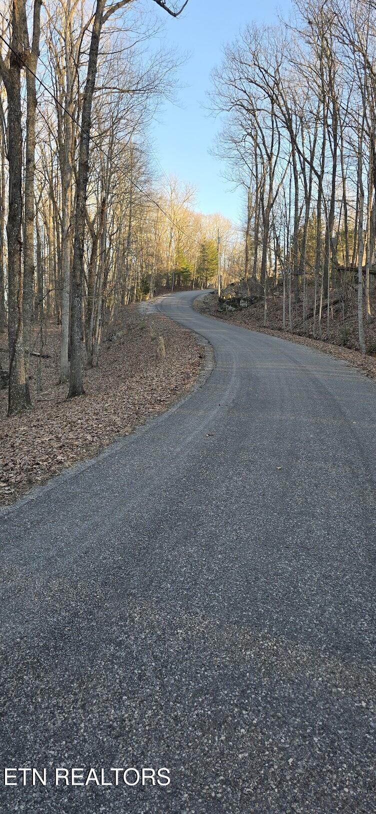 121 Pineridge Loop Fairfield Glade TN 38558