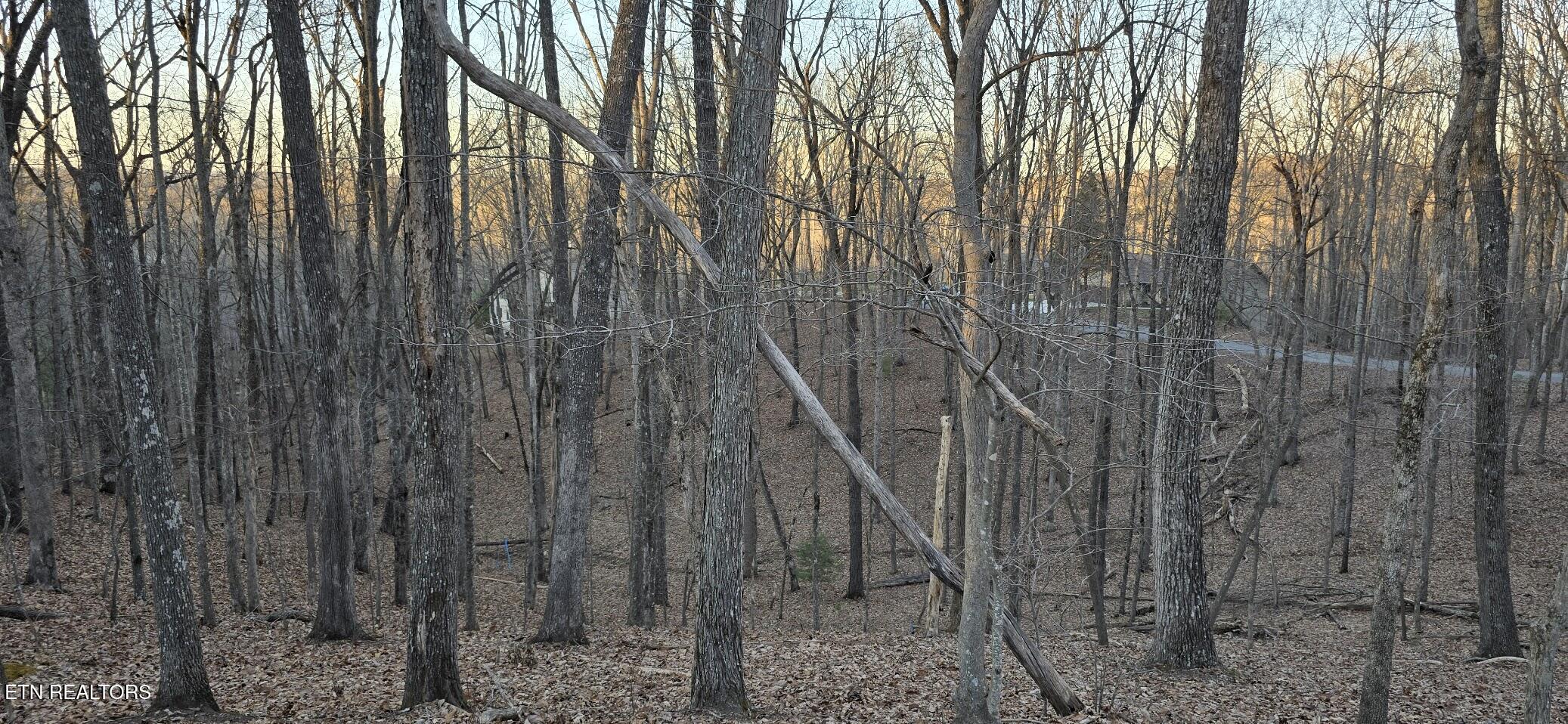 121 Pineridge Loop Fairfield Glade TN 38558