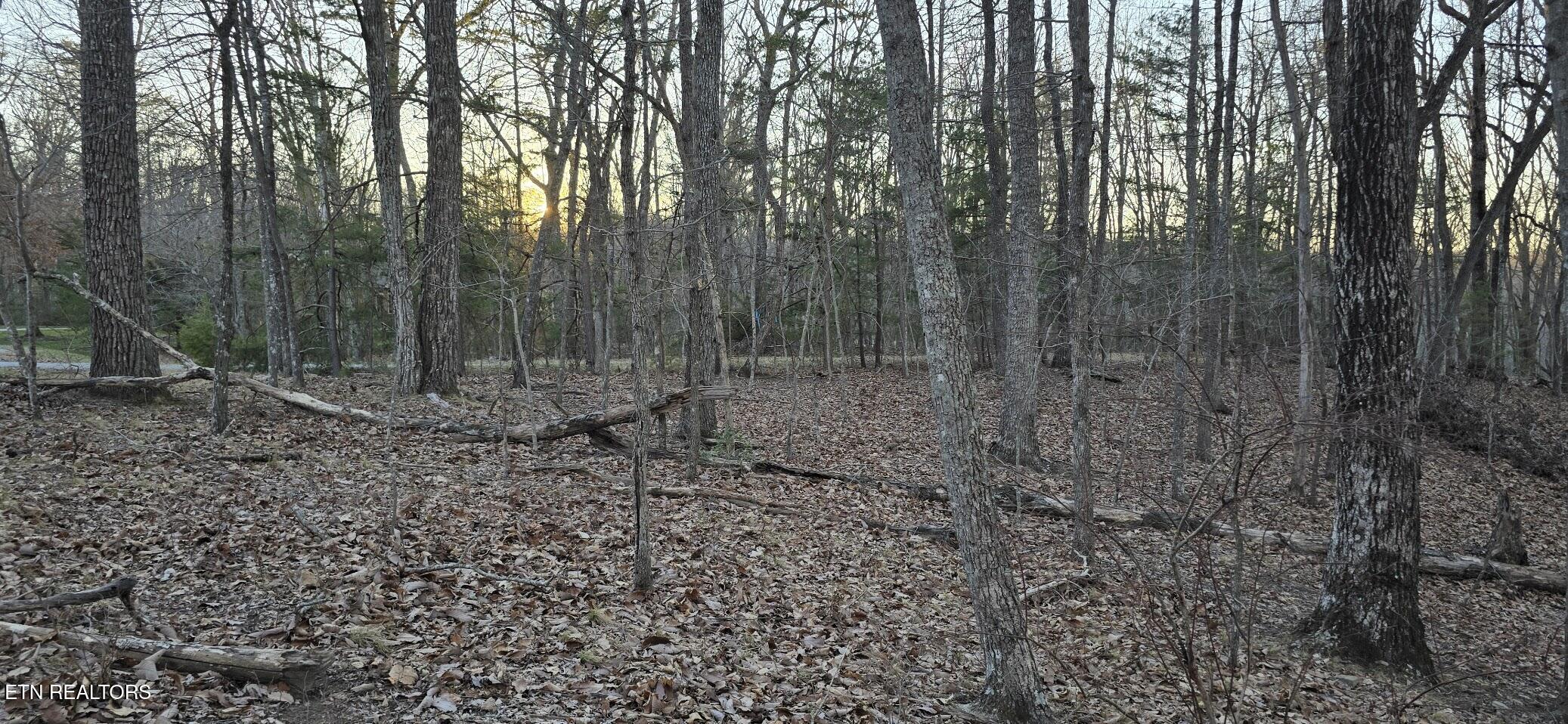 121 Pineridge Loop Fairfield Glade TN 38558