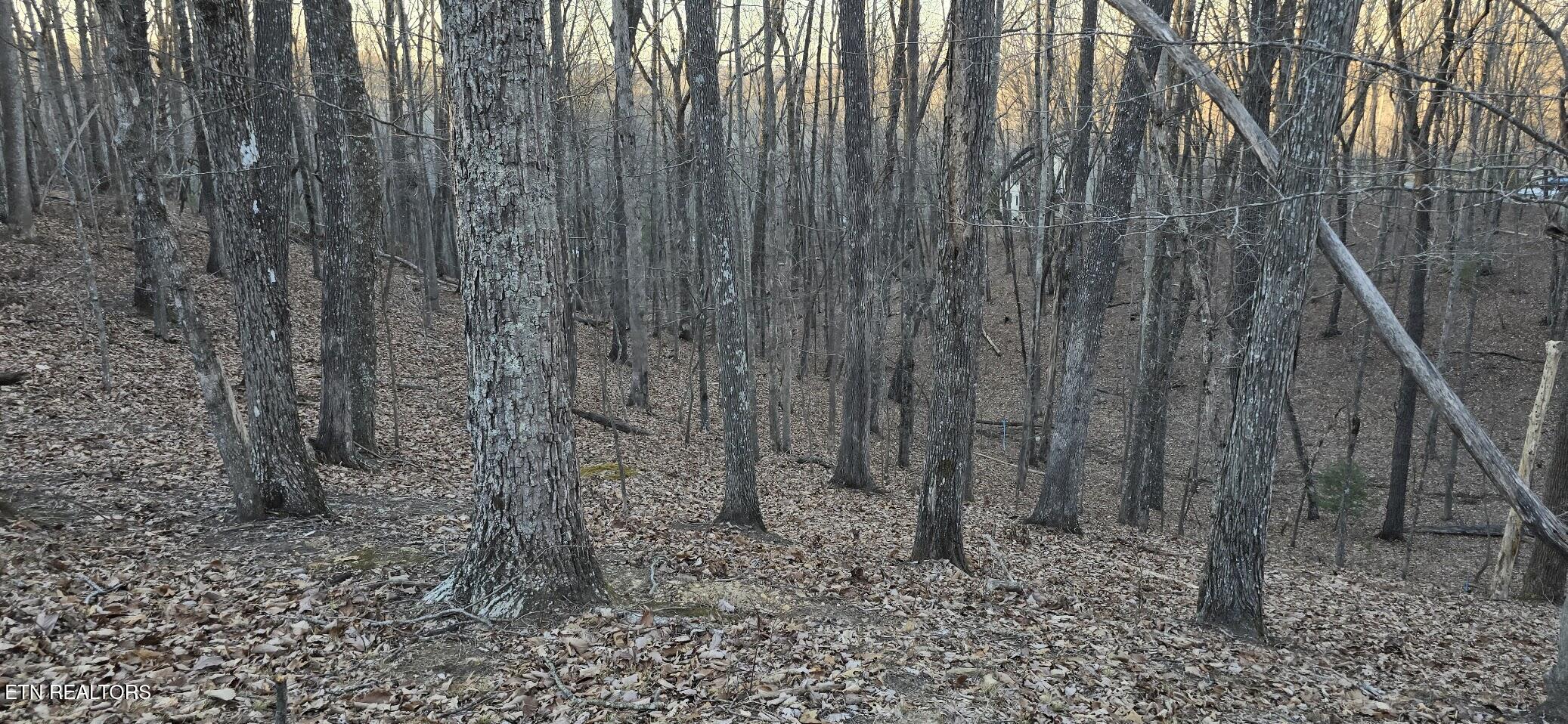 121 Pineridge Loop Fairfield Glade TN 38558
