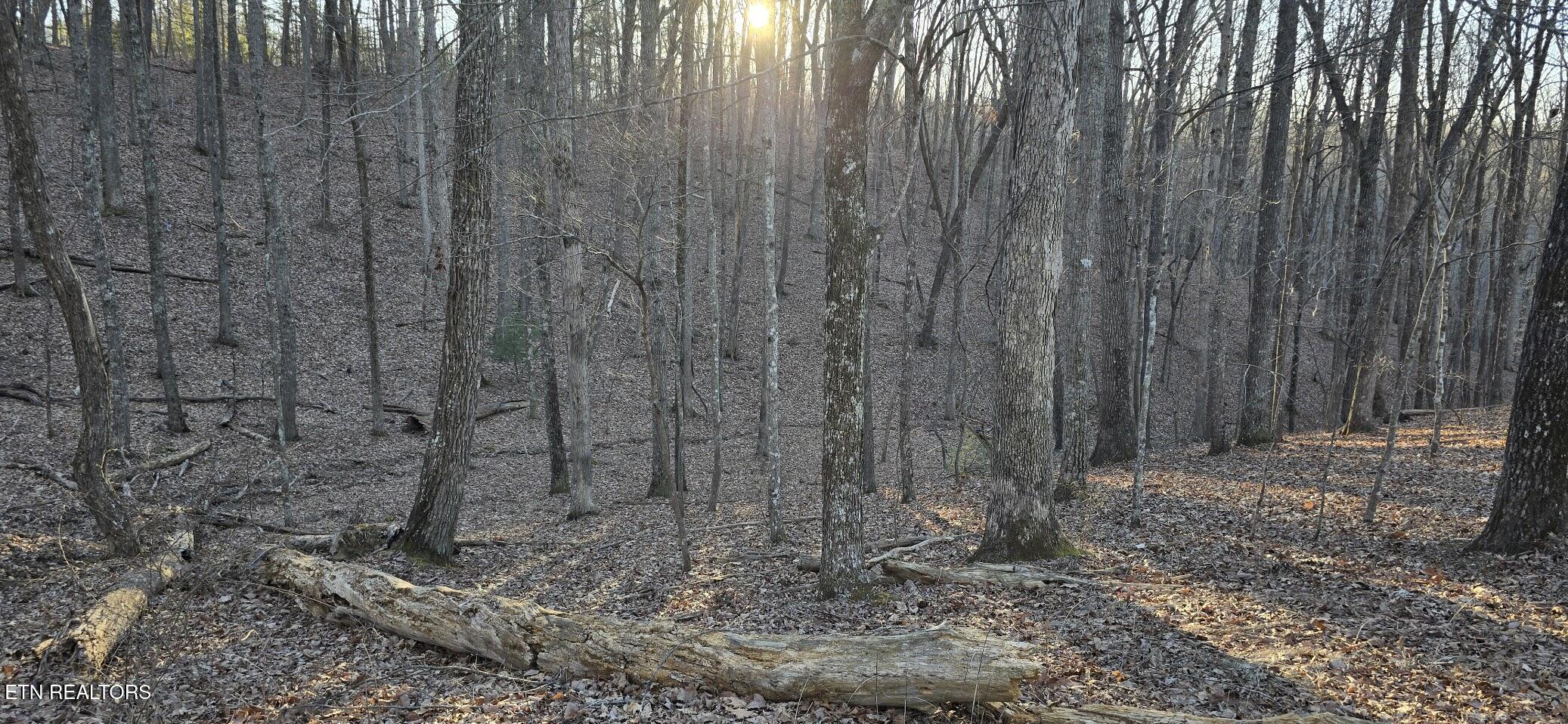 121 Pineridge Loop Fairfield Glade TN 38558
