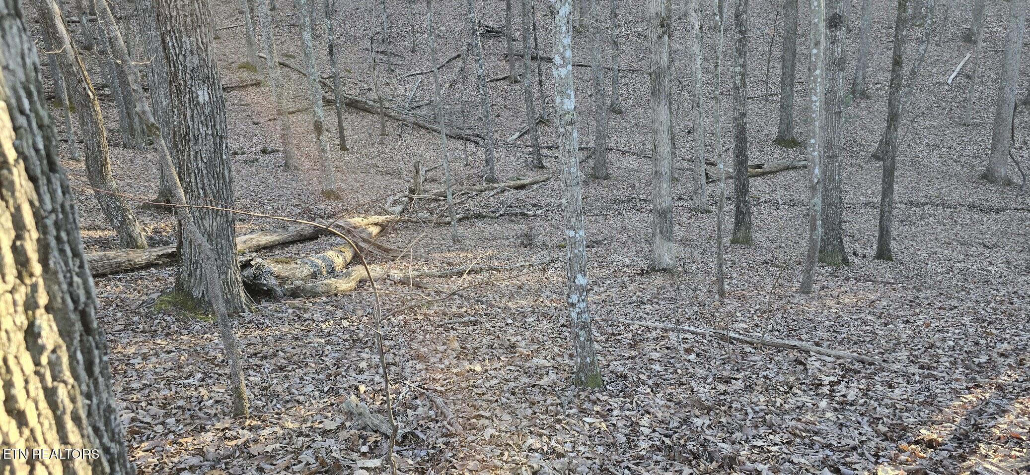 121 Pineridge Loop Fairfield Glade TN 38558