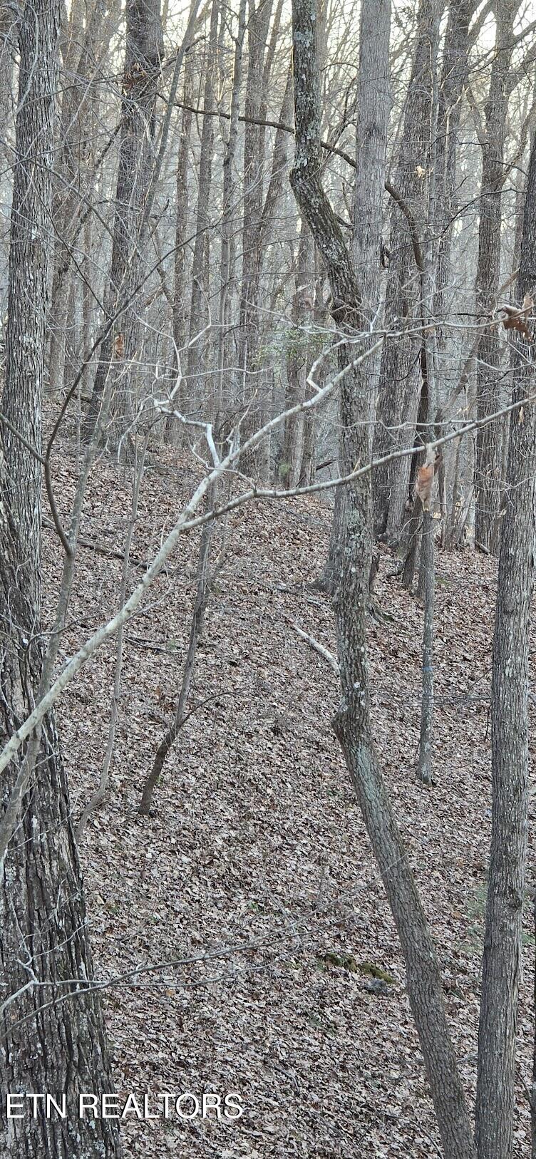 121 Pineridge Loop Fairfield Glade TN 38558