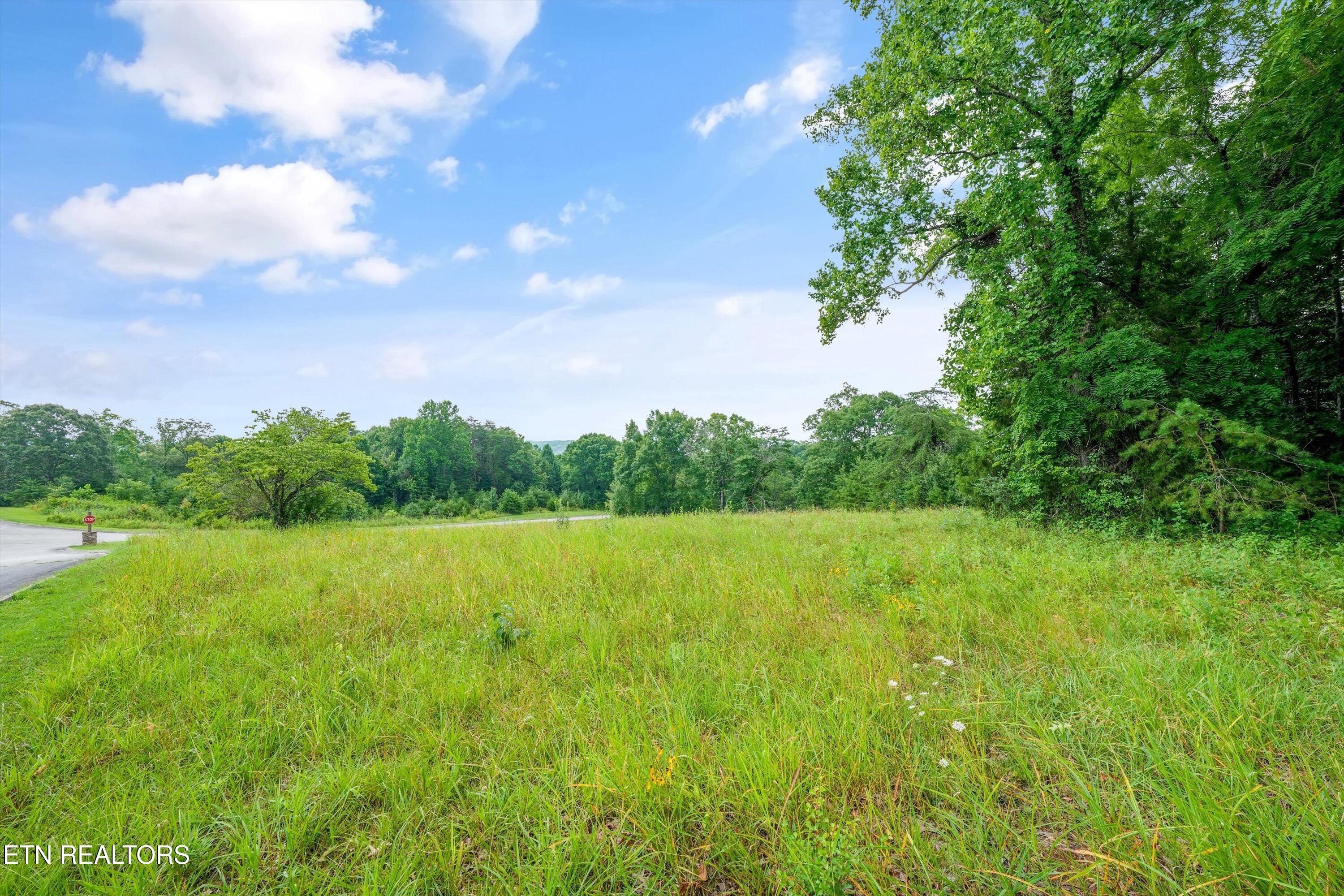 Lot 50 Melea Lane Kingston TN 37763