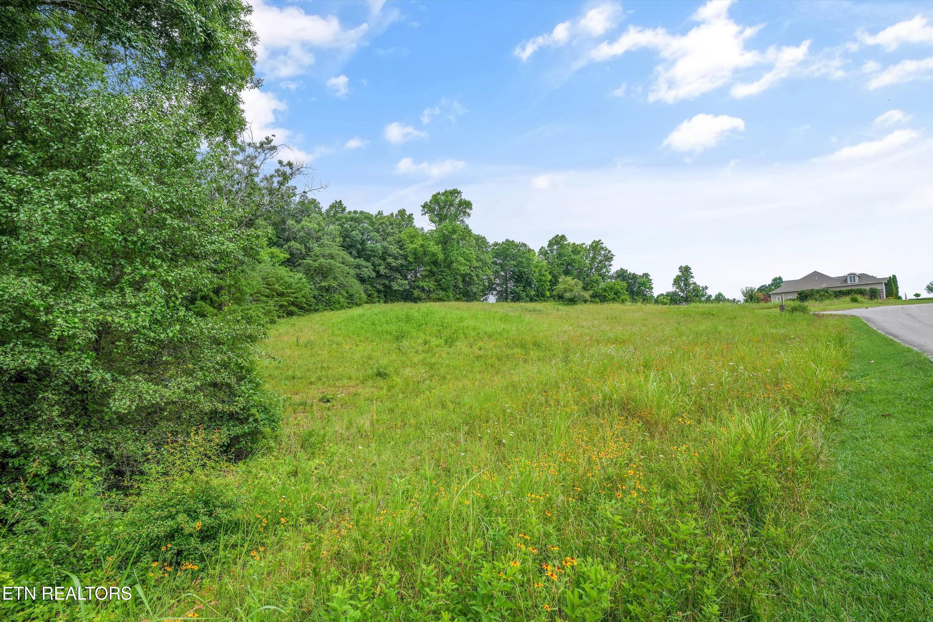 Lot 50 Melea Lane Kingston TN 37763
