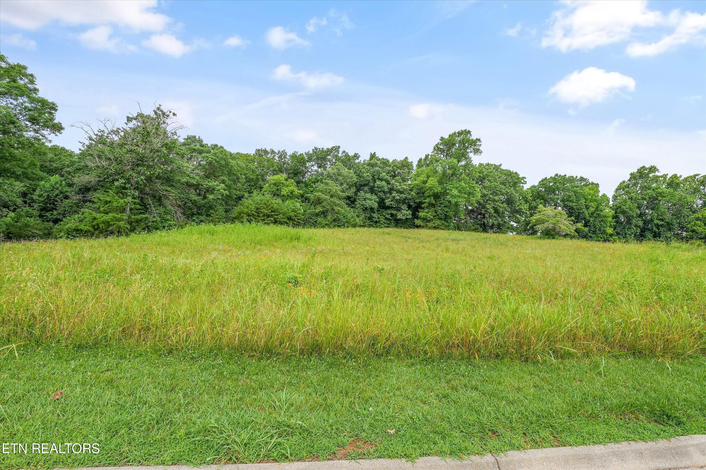 Lot 50 Melea Lane Kingston TN 37763