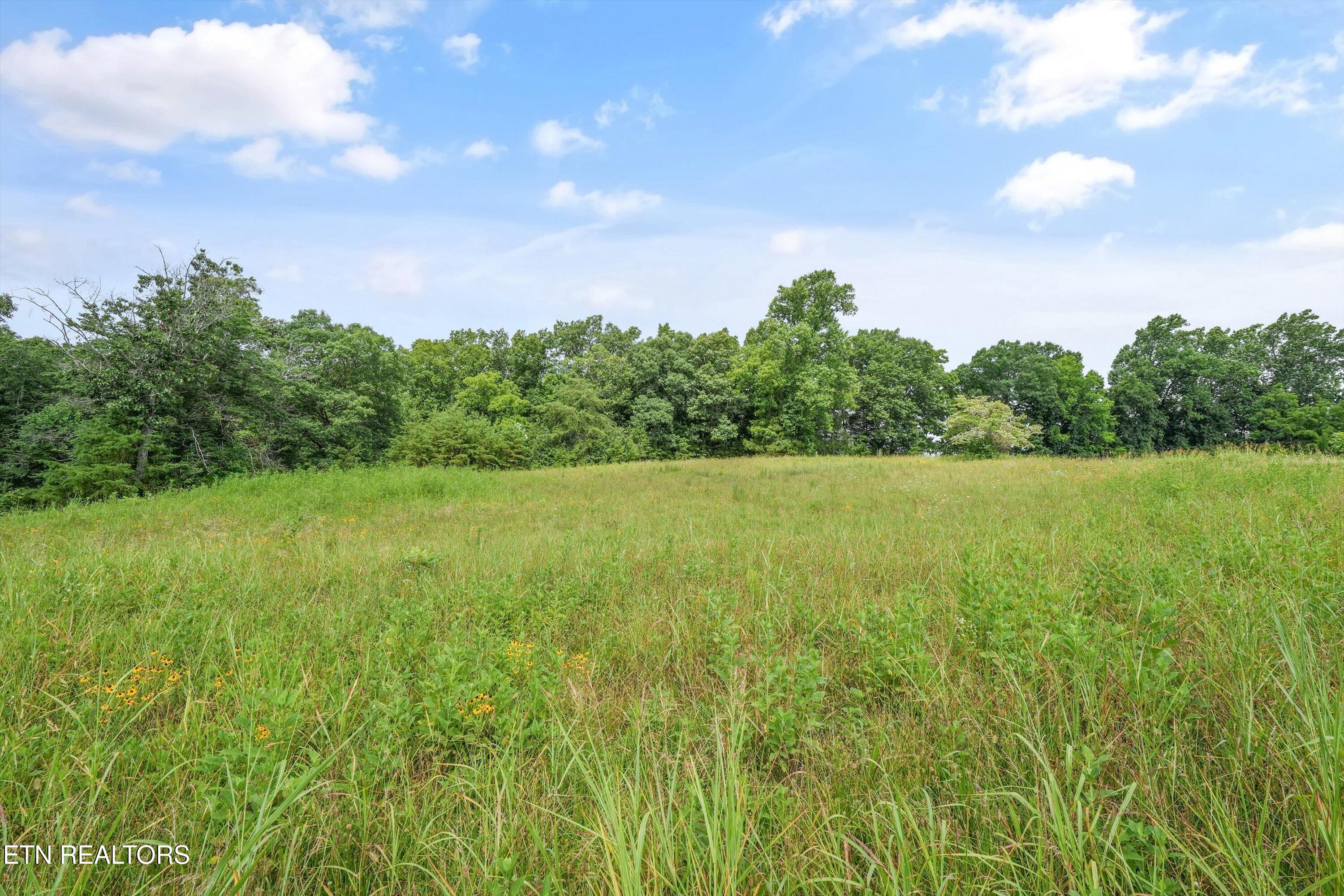 Lot 50 Melea Lane Kingston TN 37763