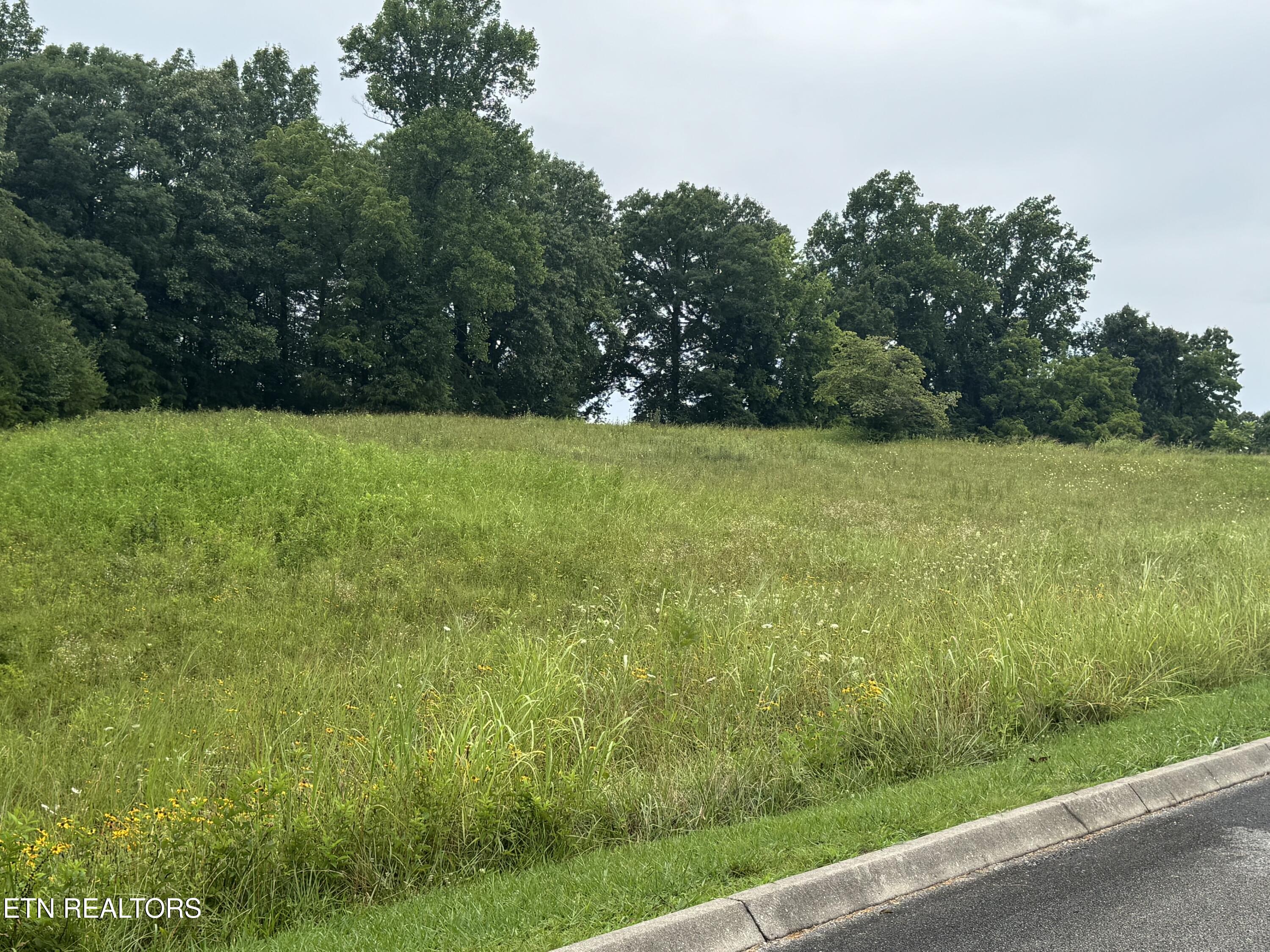 Lot 50 Melea Lane Kingston TN 37763