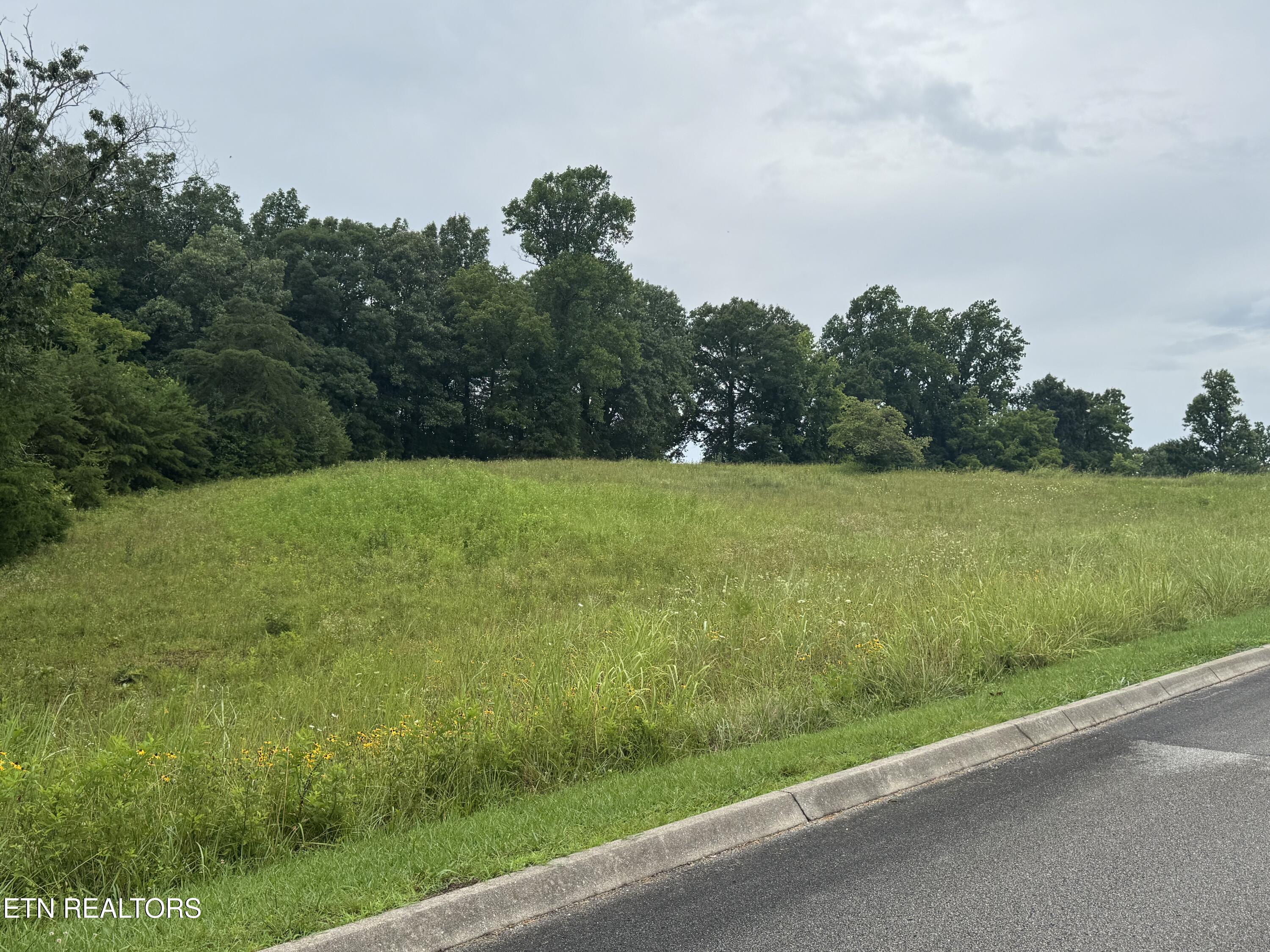 Lot 50 Melea Lane Kingston TN 37763