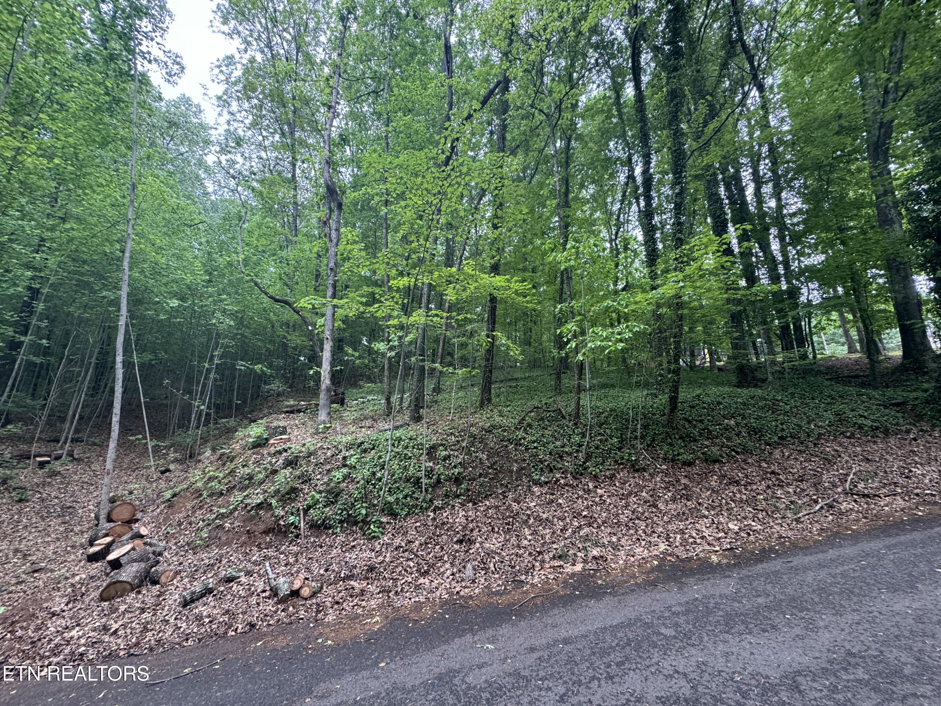 6816 Reddege Road Knoxville TN 37918