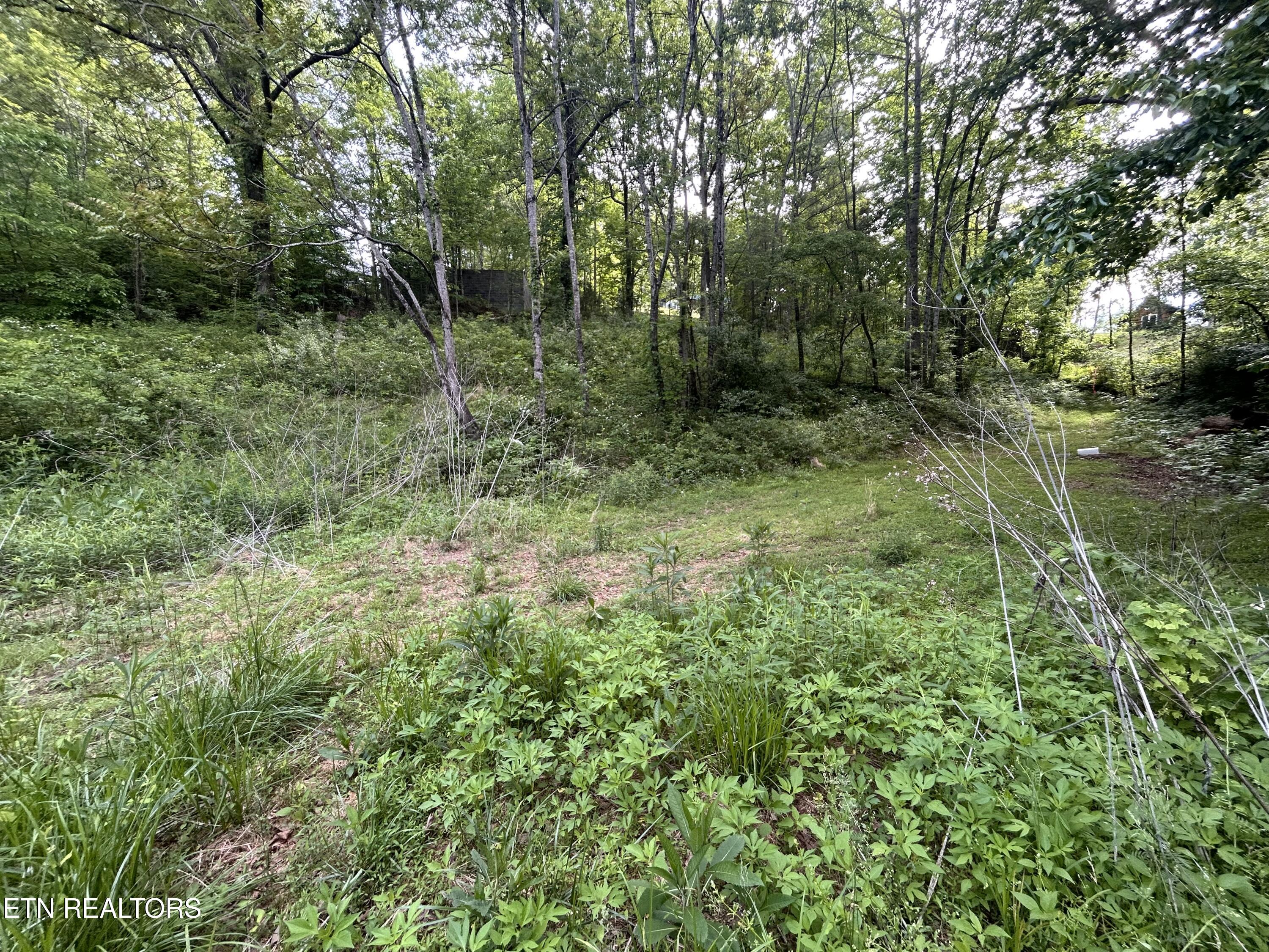 Lot 32 Ernie Roberts Road Rutledge TN 37861